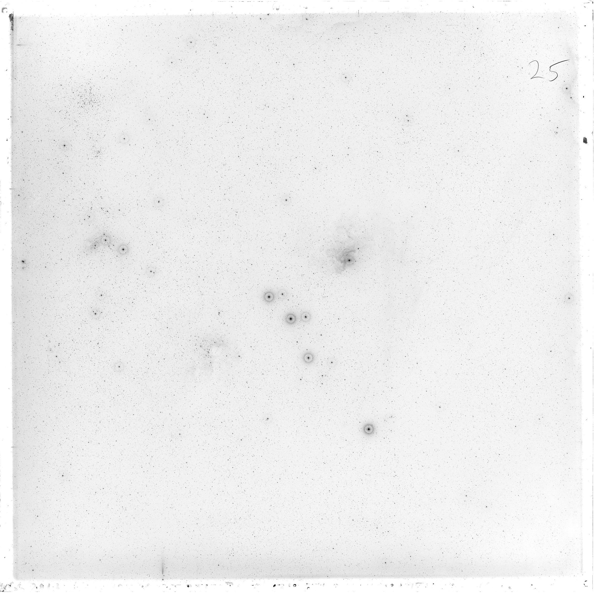 Scan GS02817
