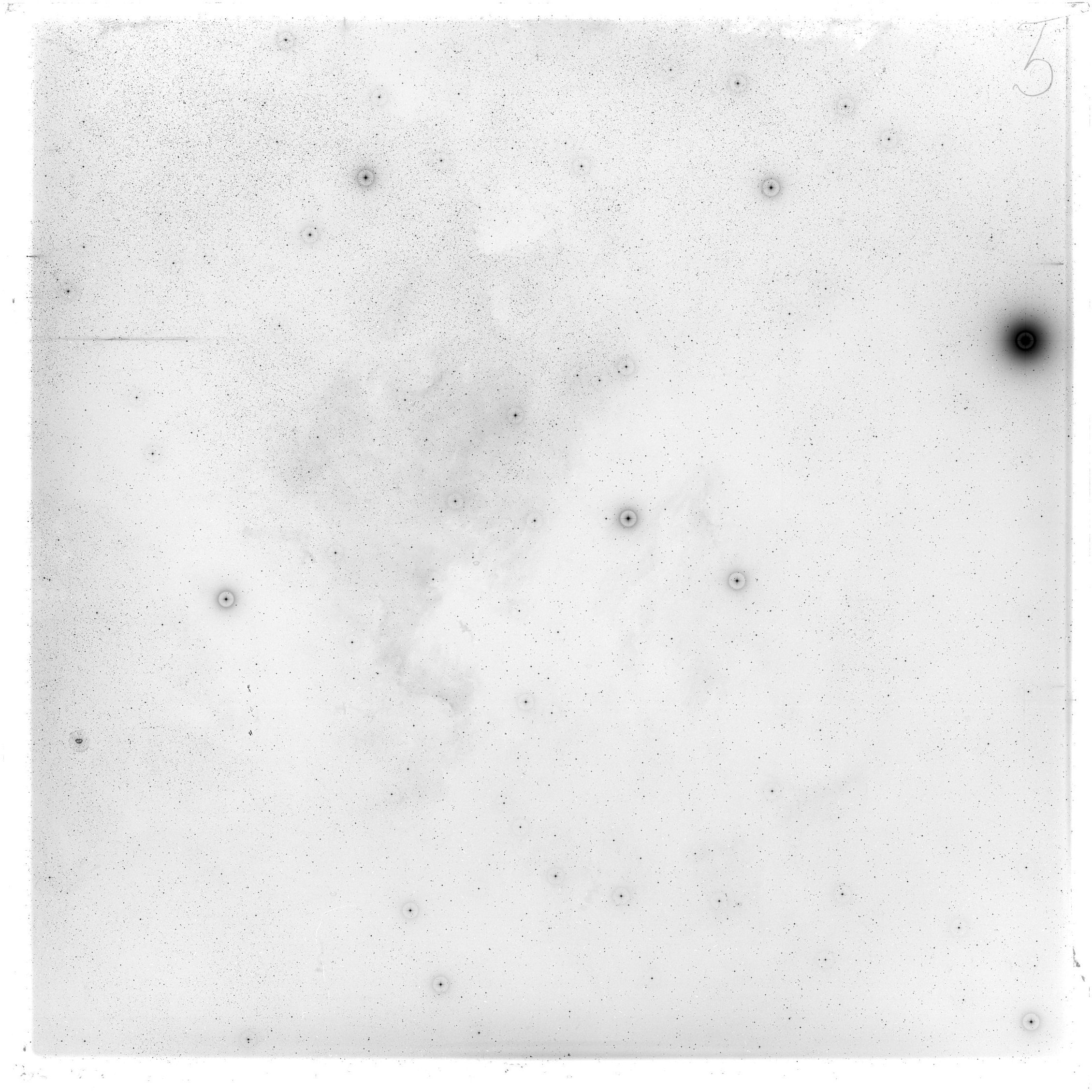 Scan GS02823