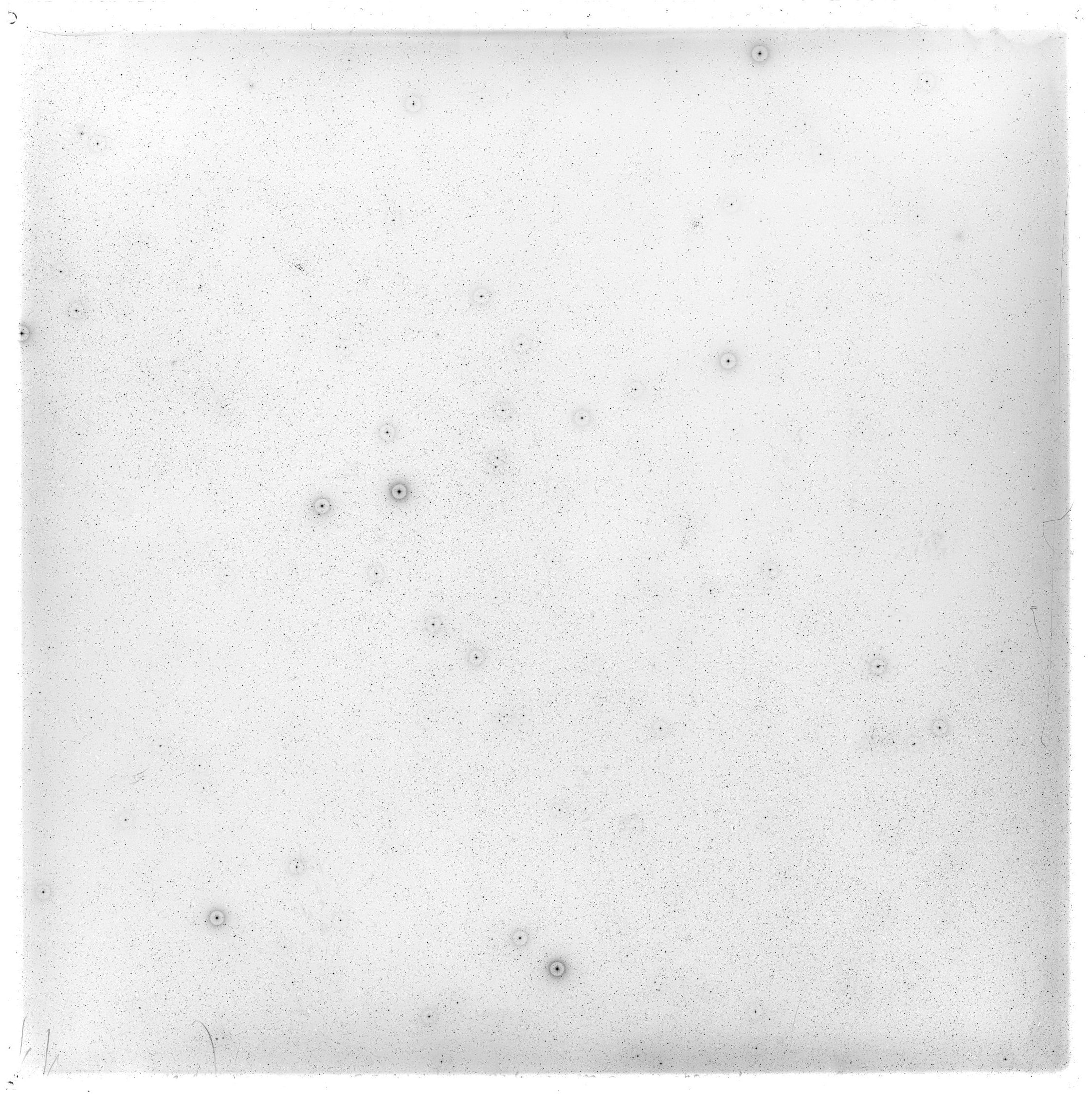 Scan GS02828