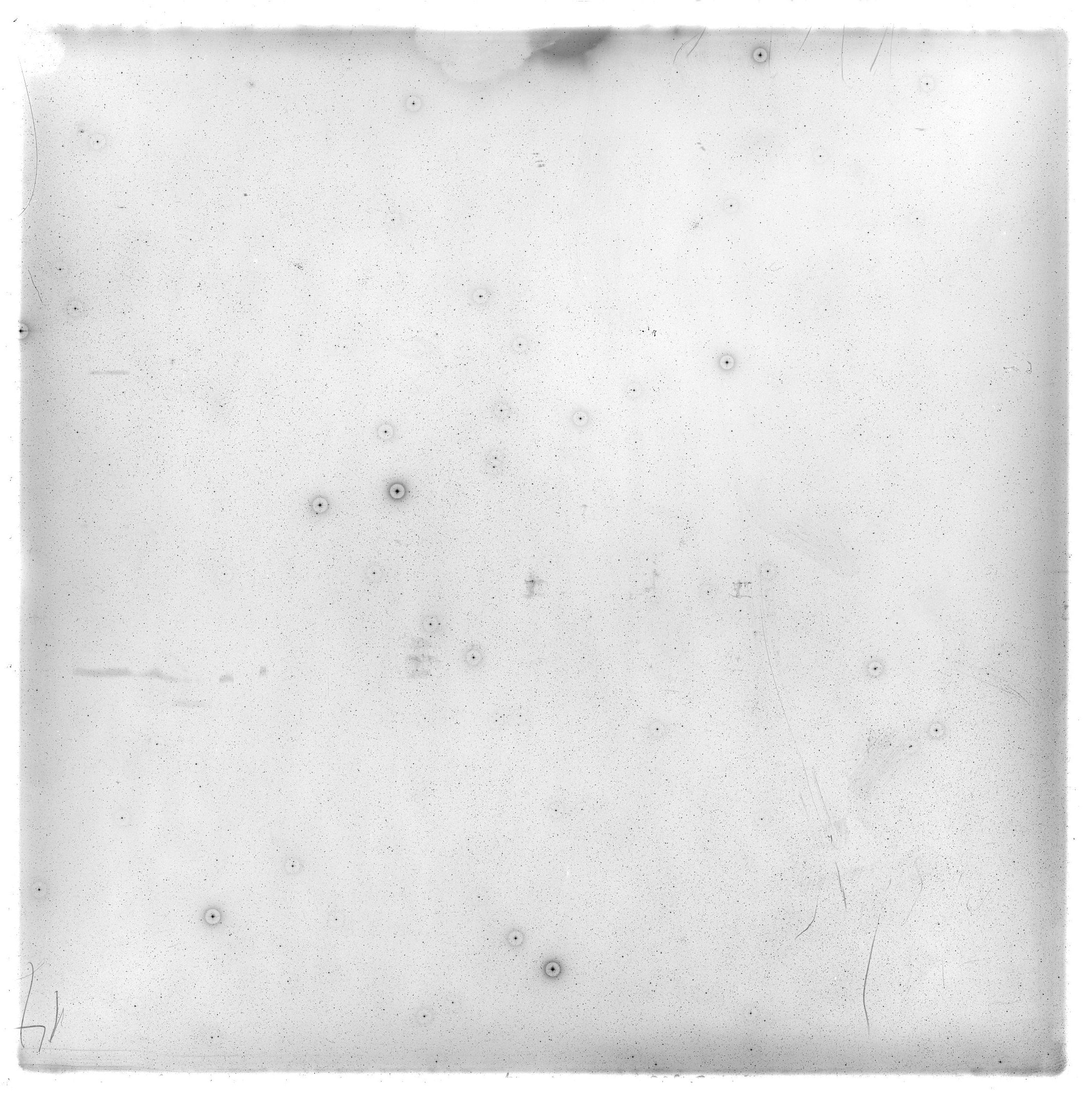 Scan GS02830