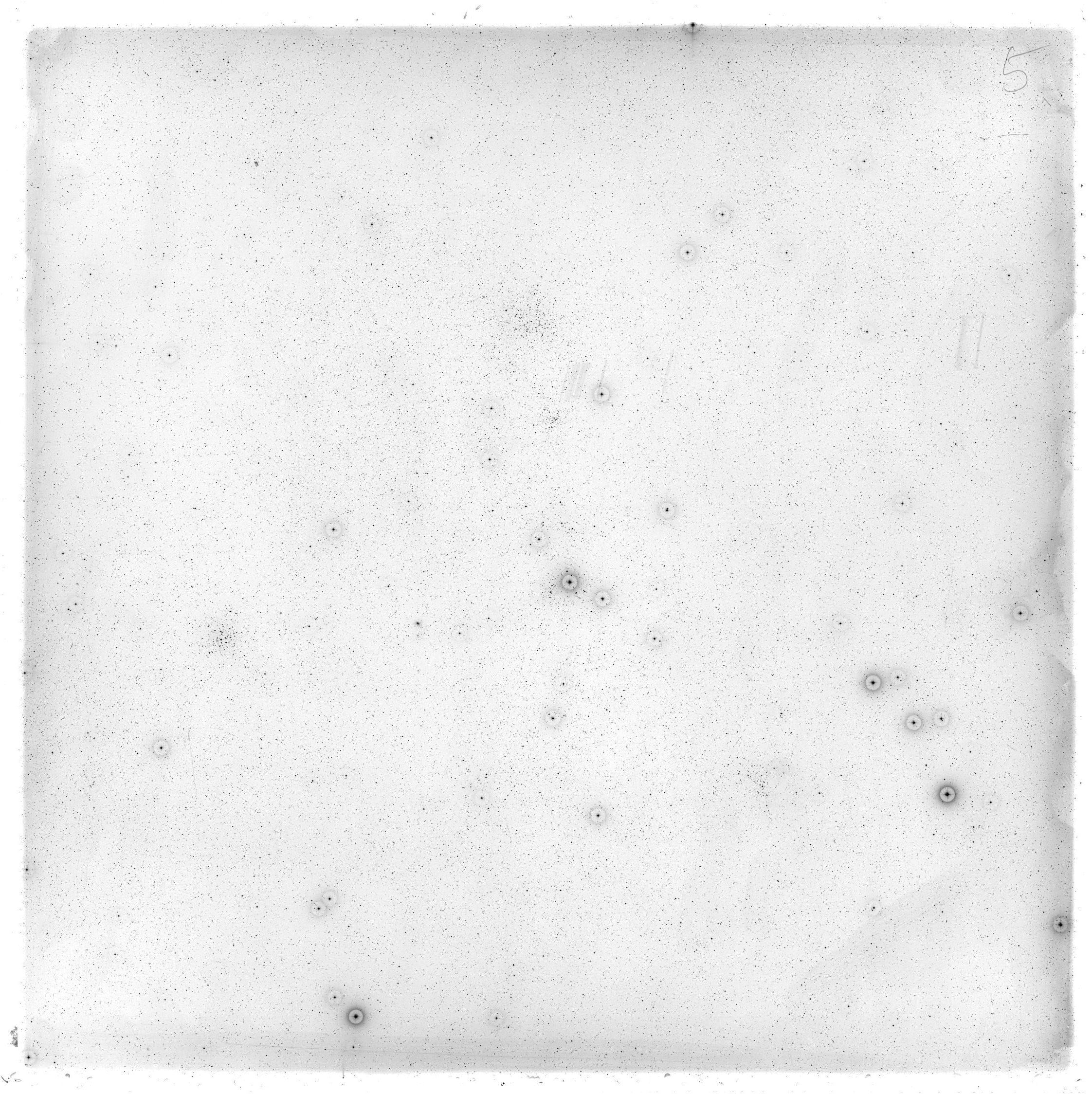 Scan GS02835
