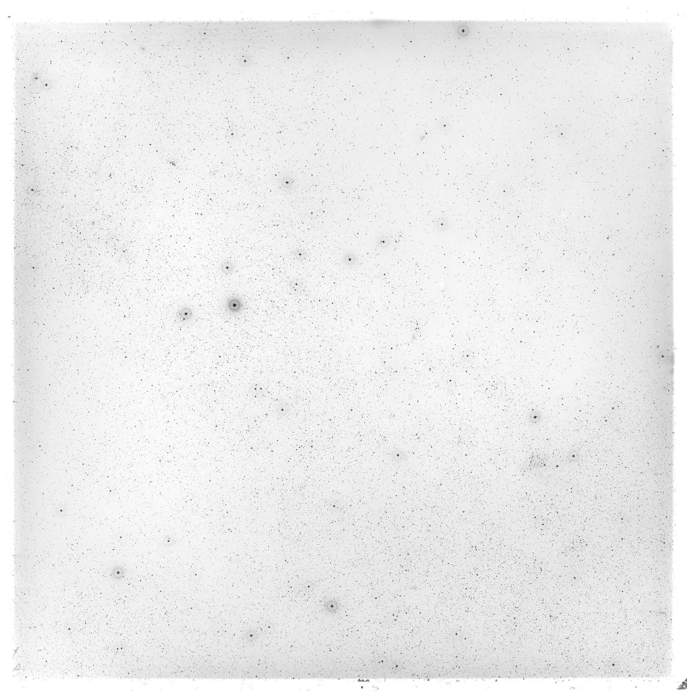 Scan GS02847