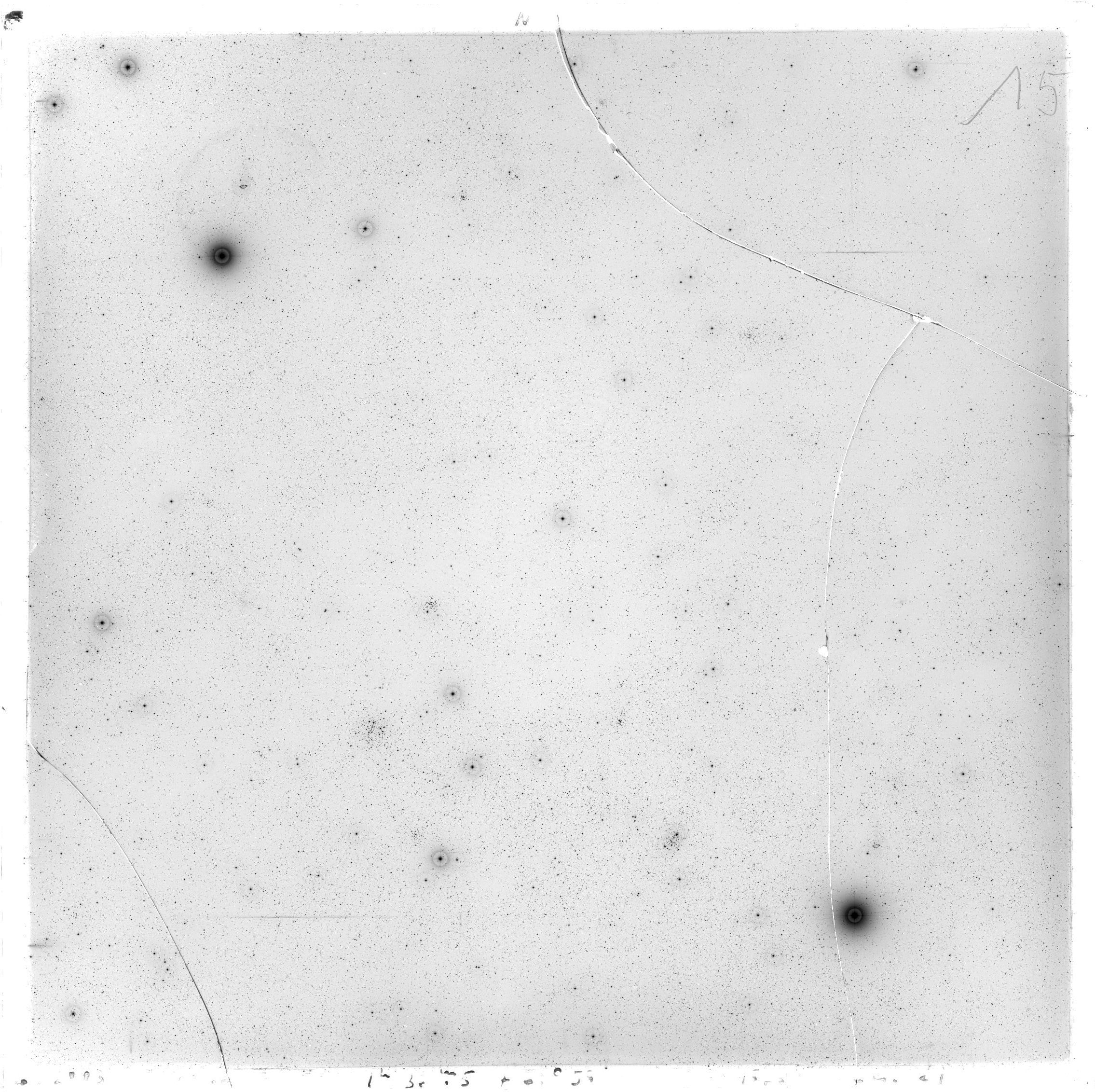 Scan GS02883