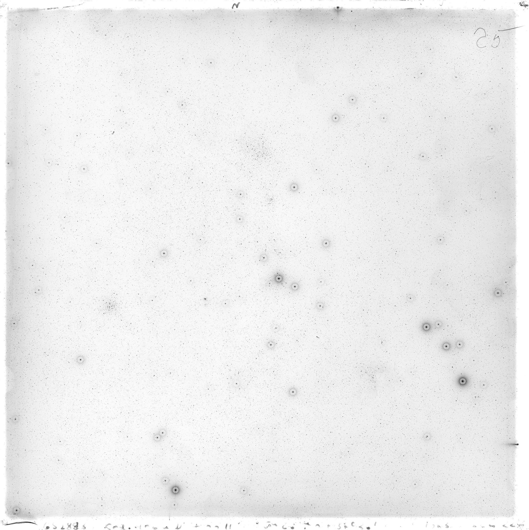 Scan GS02893