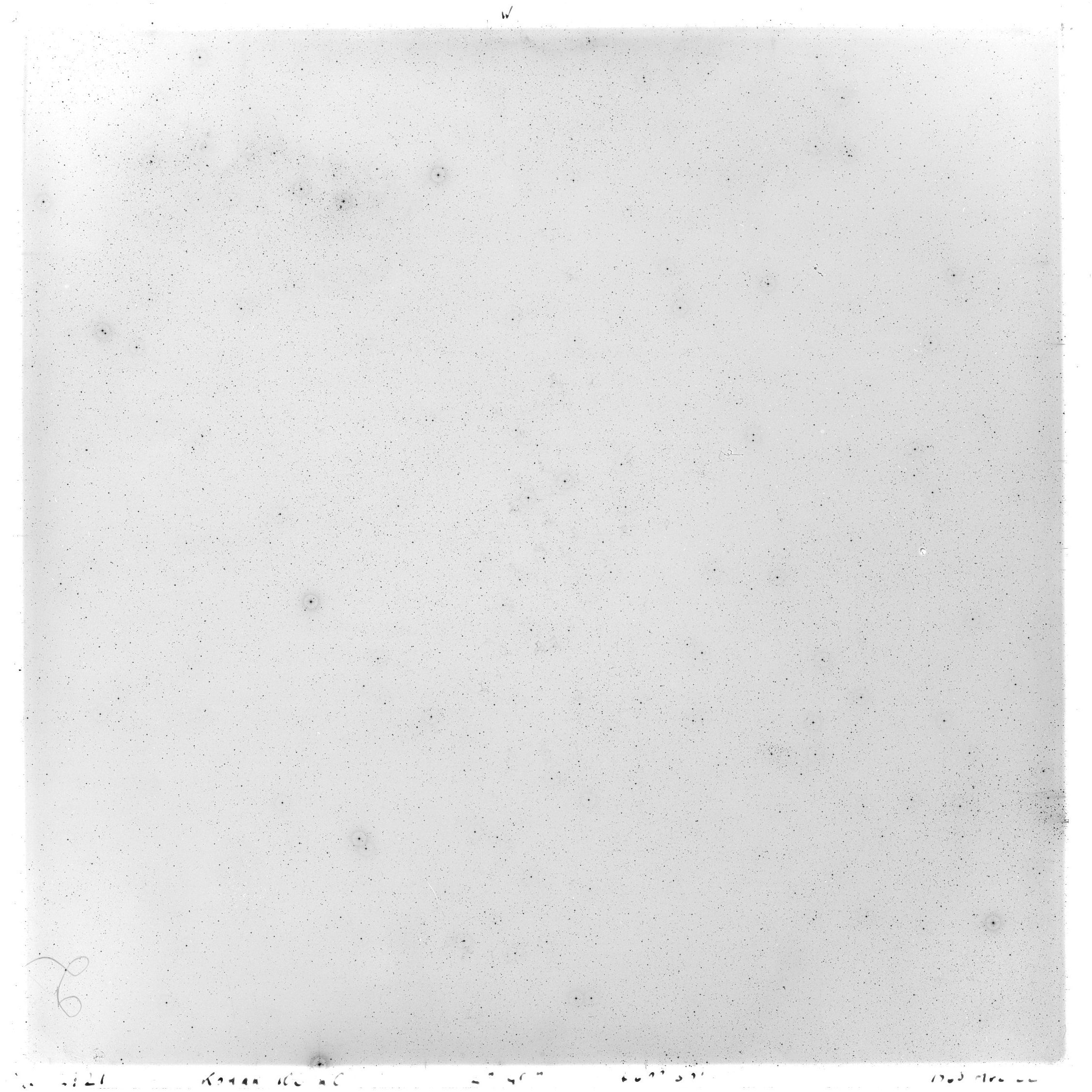 Scan GS02921