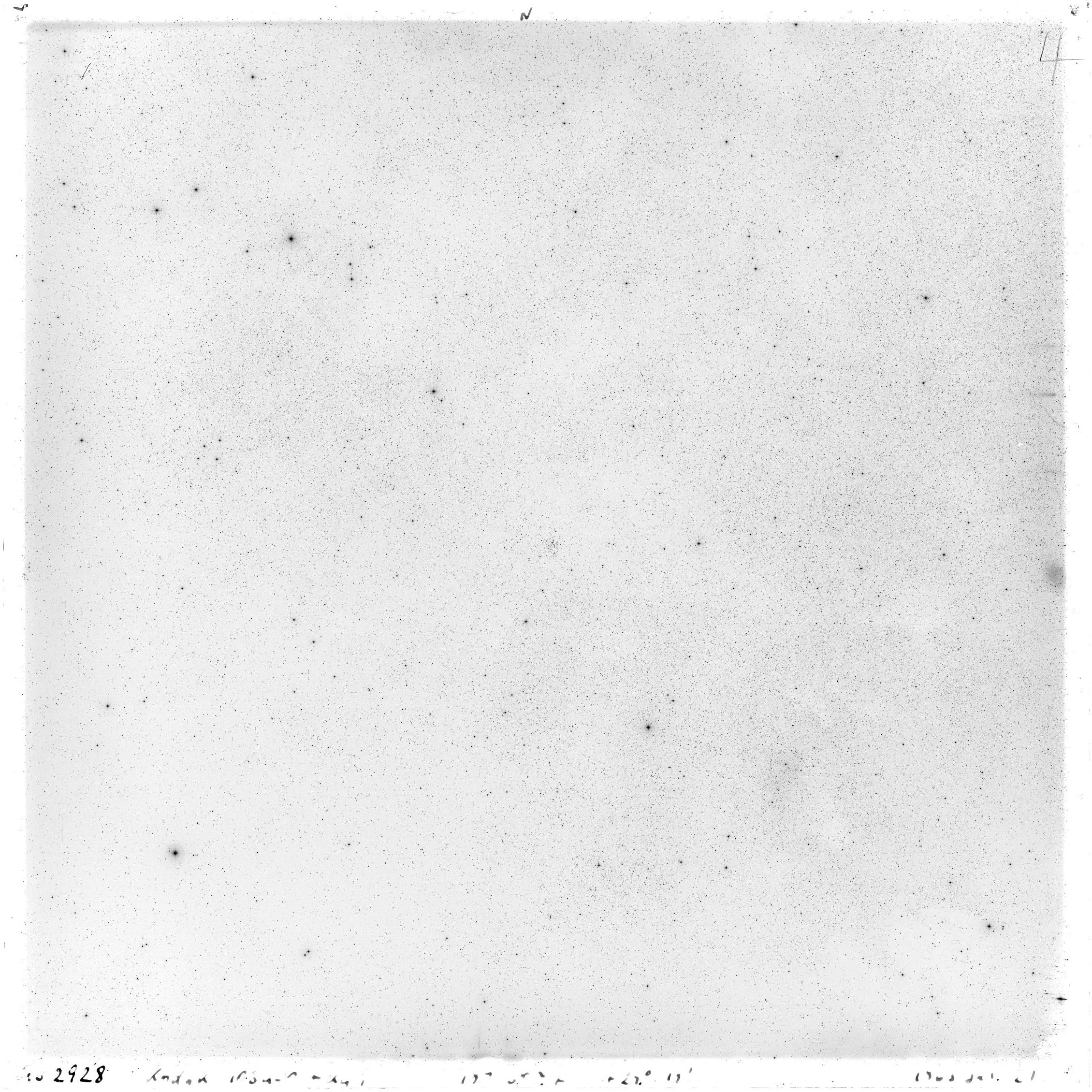 Scan GS02928