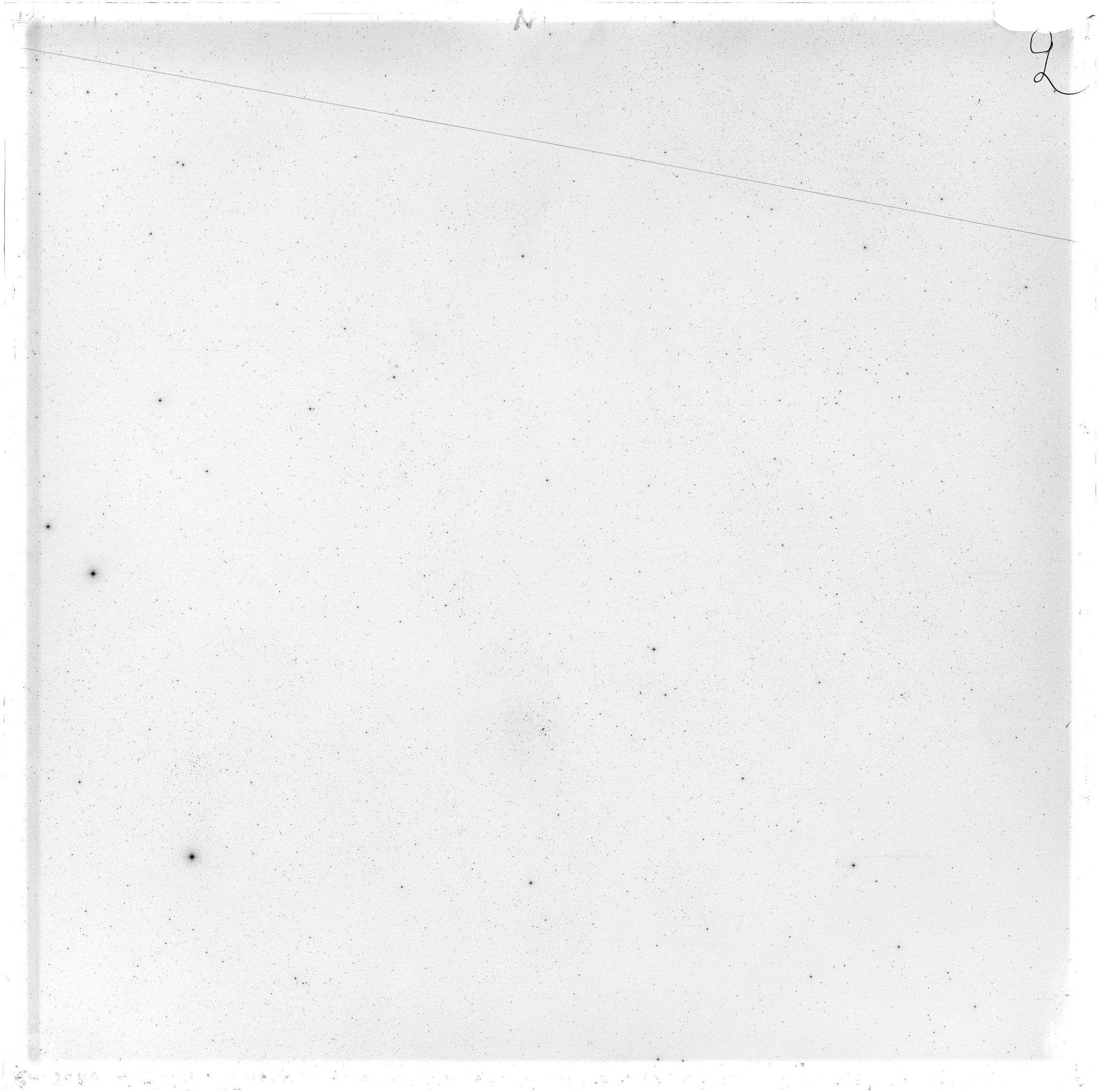 Scan GS02949