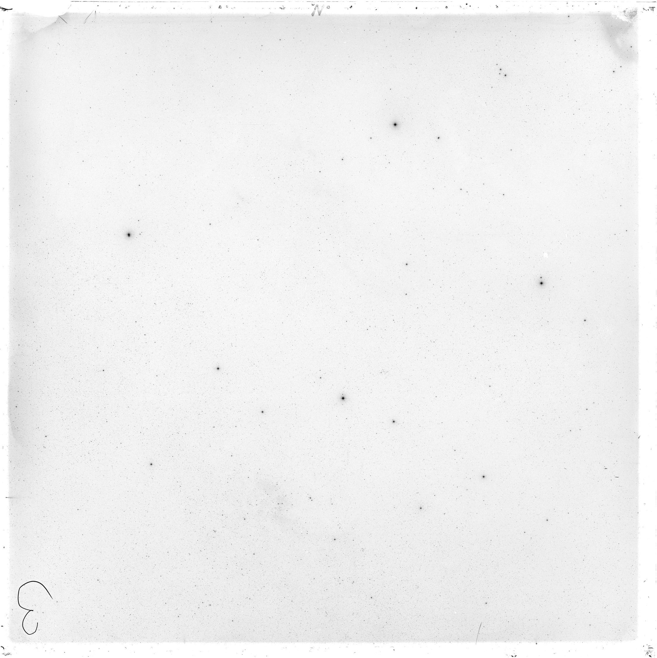 Scan GS02950