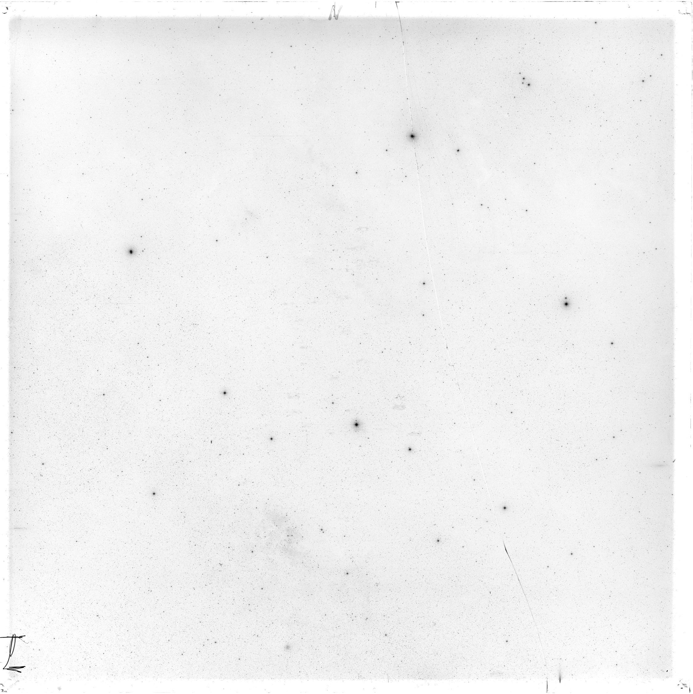 Scan GS02954
