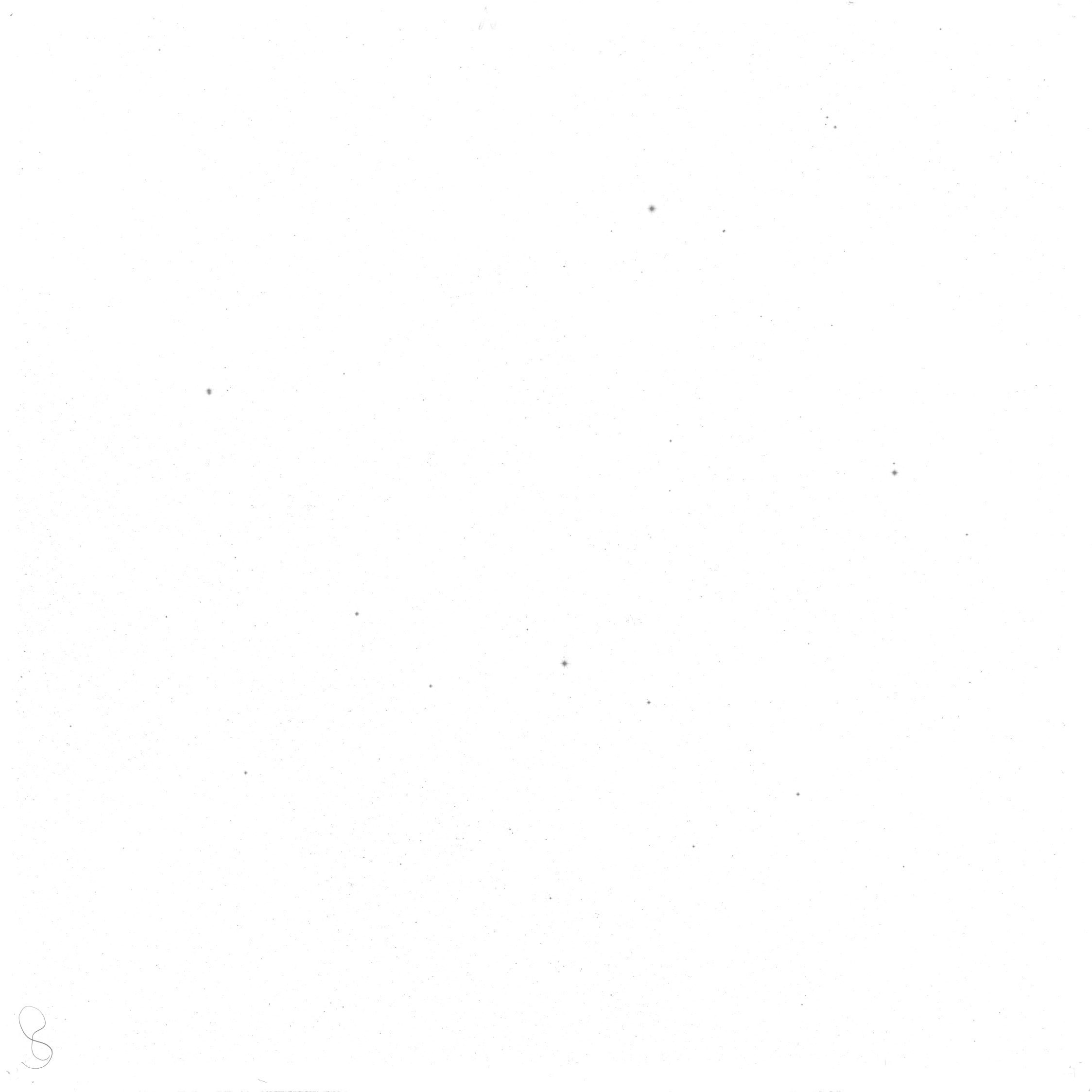 Scan GS02955