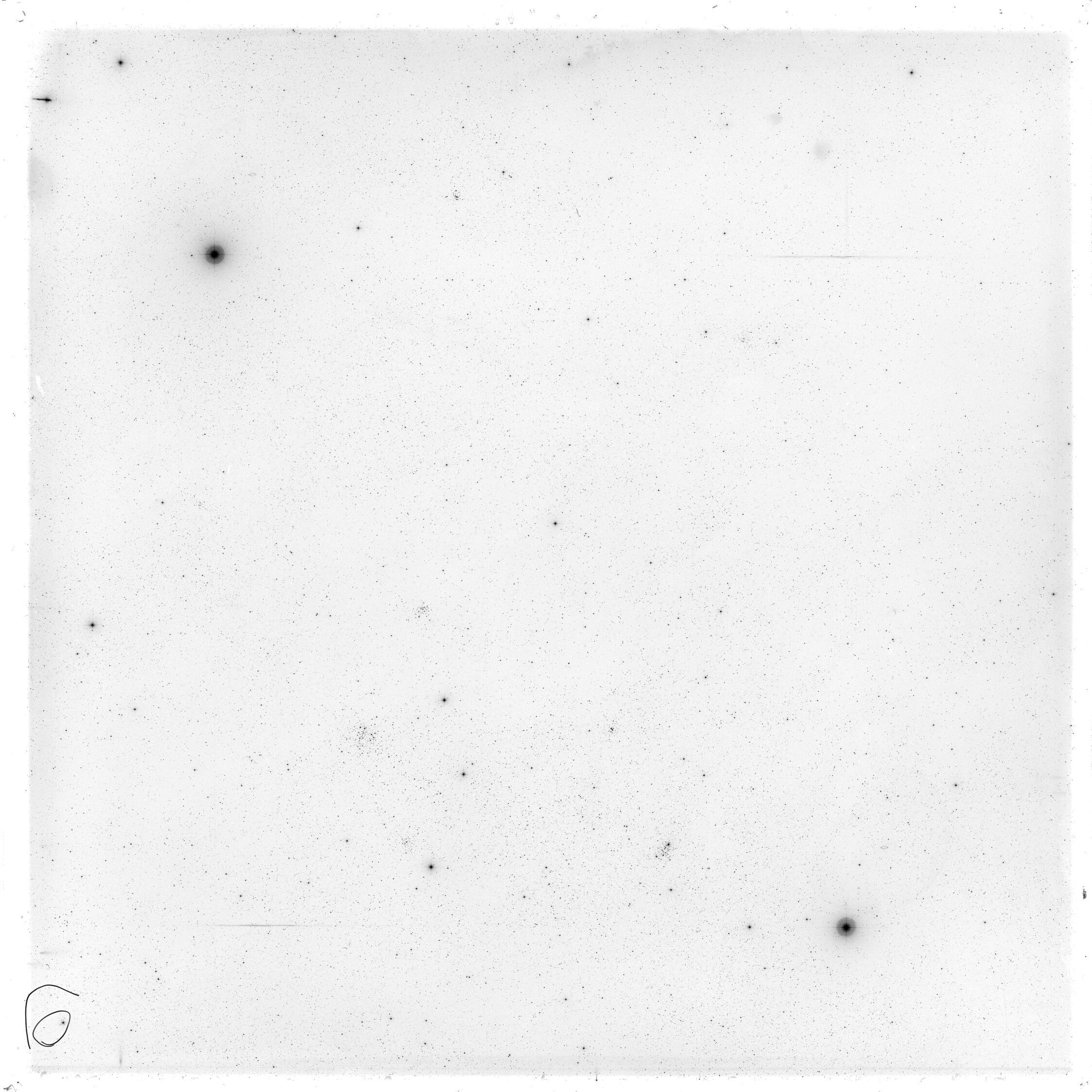 Scan GS02956