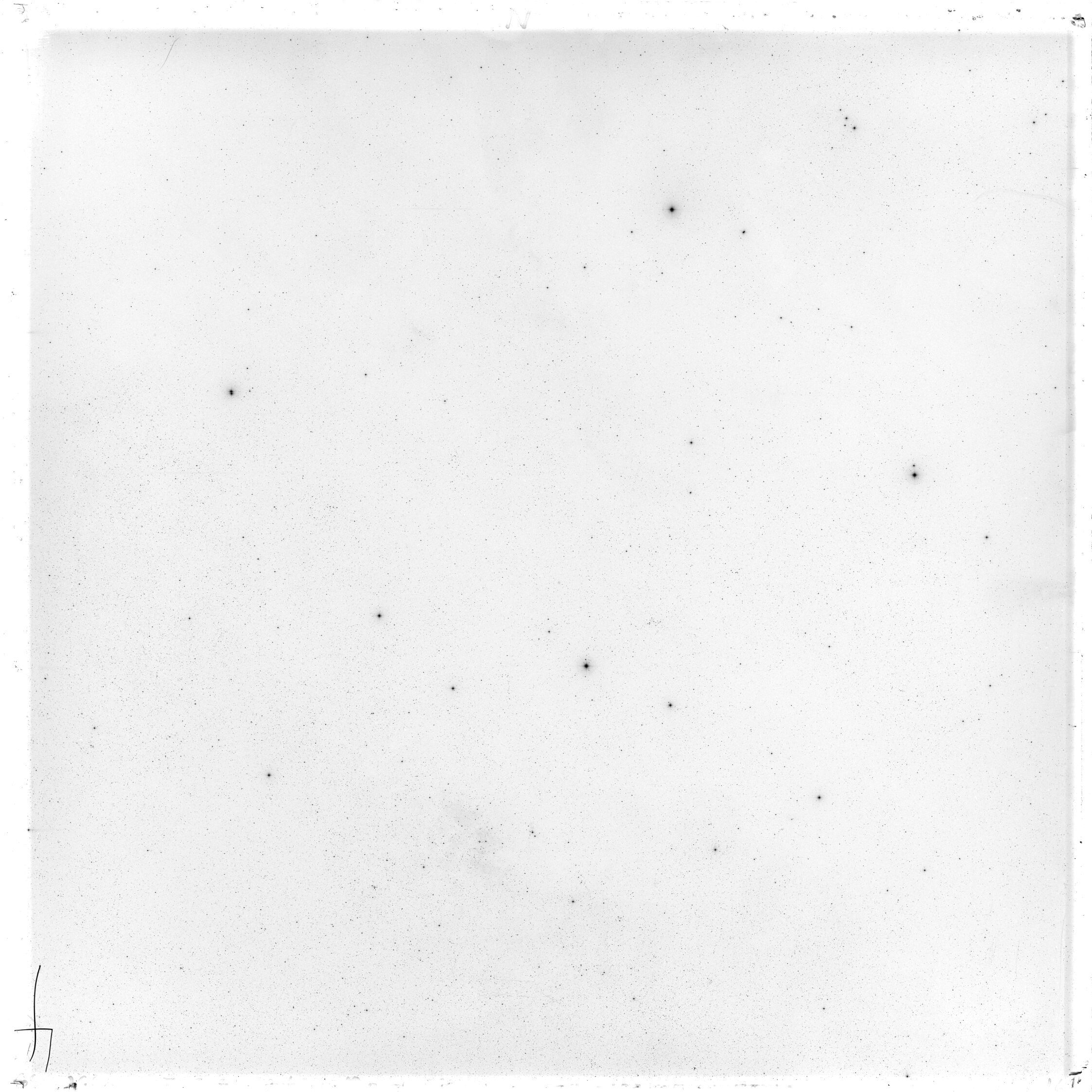 Scan GS02960