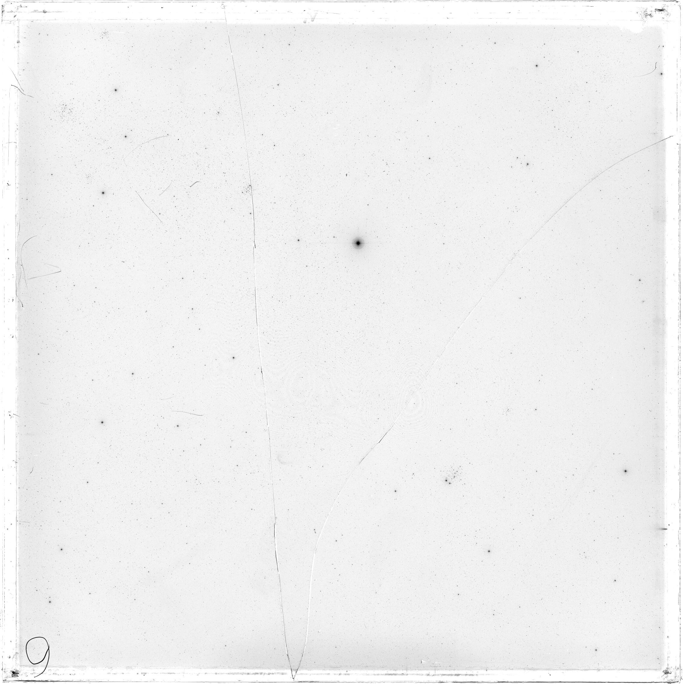 Scan GS02962