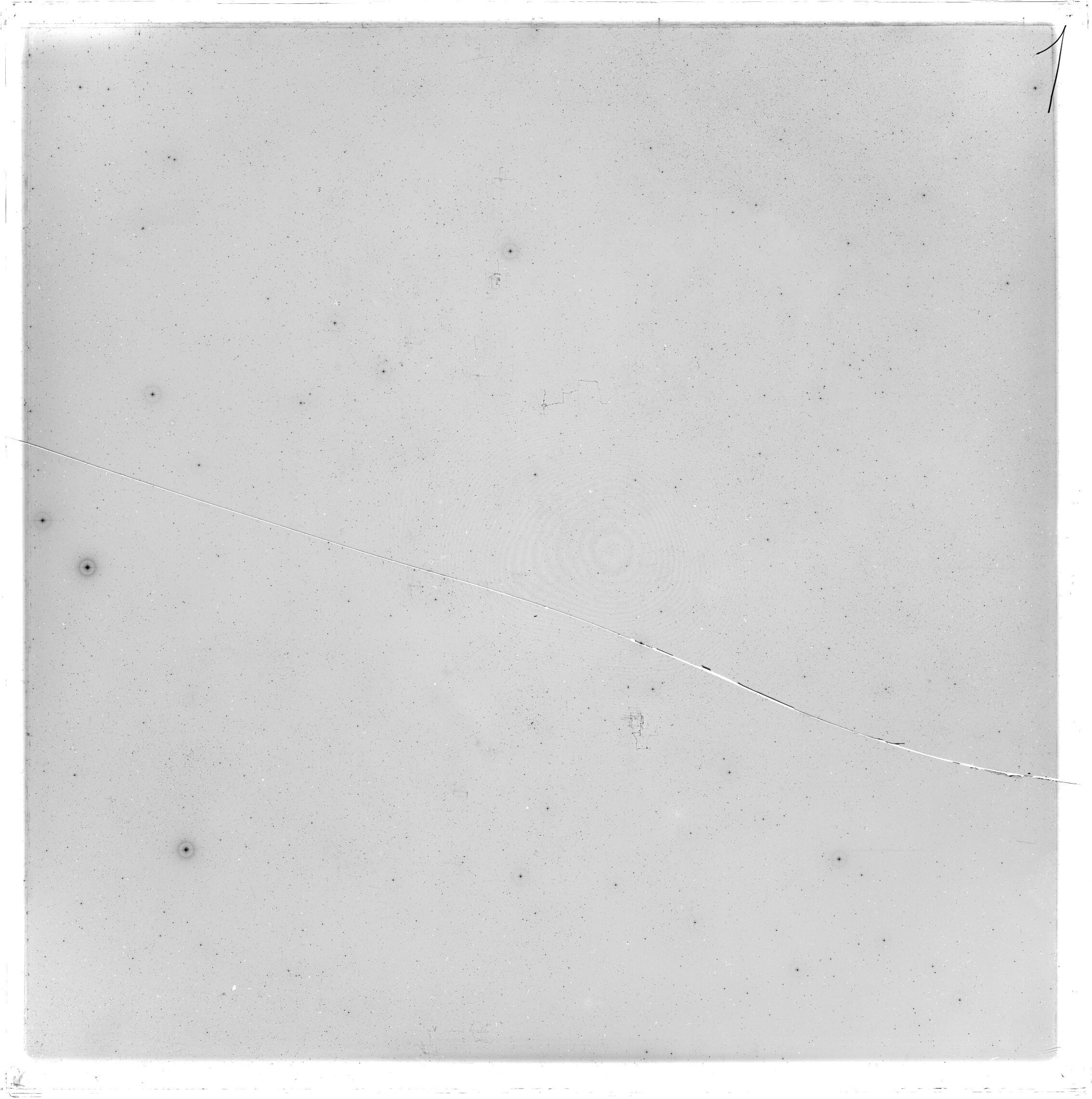 Scan GS02964