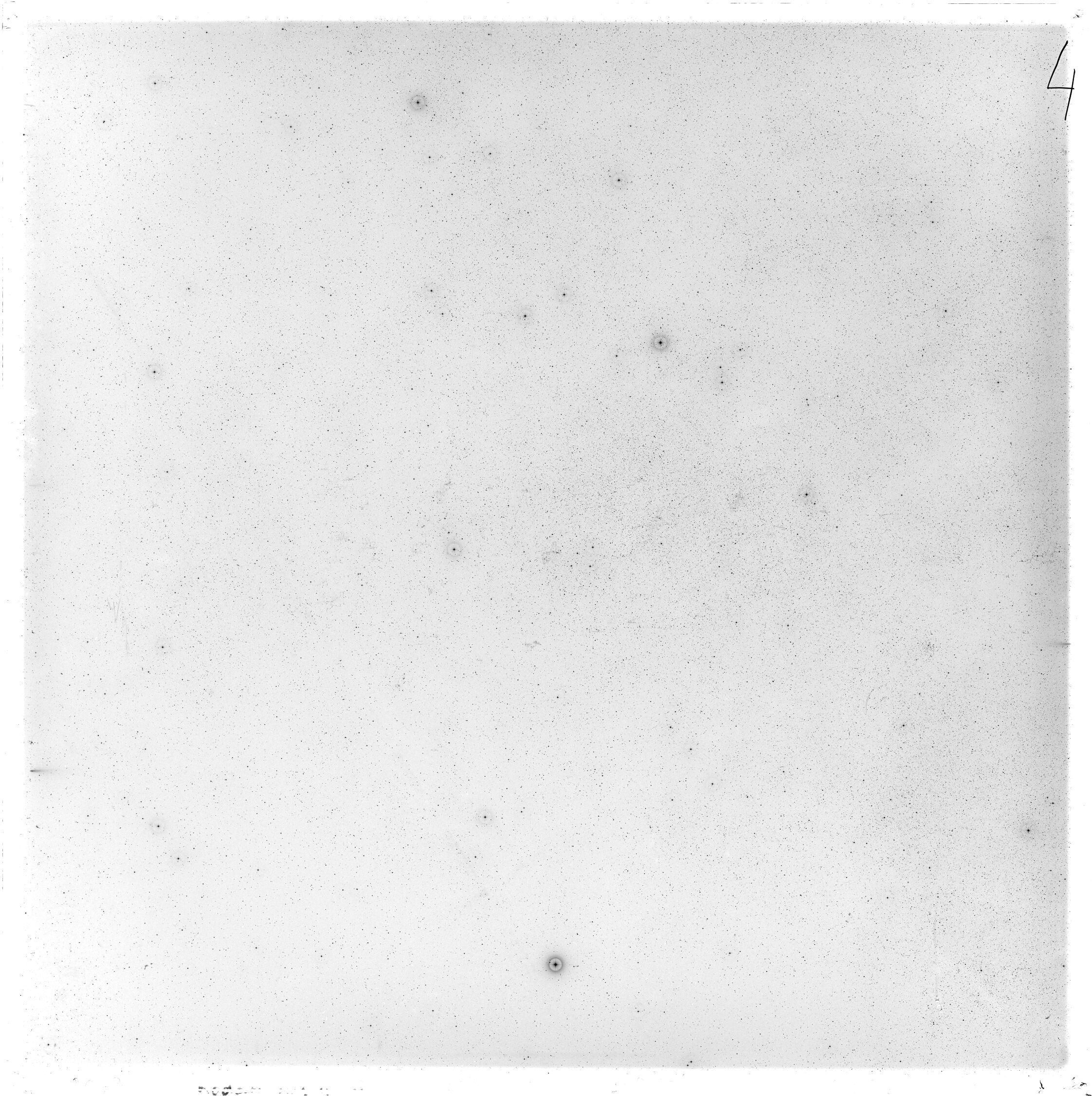 Scan GS02967