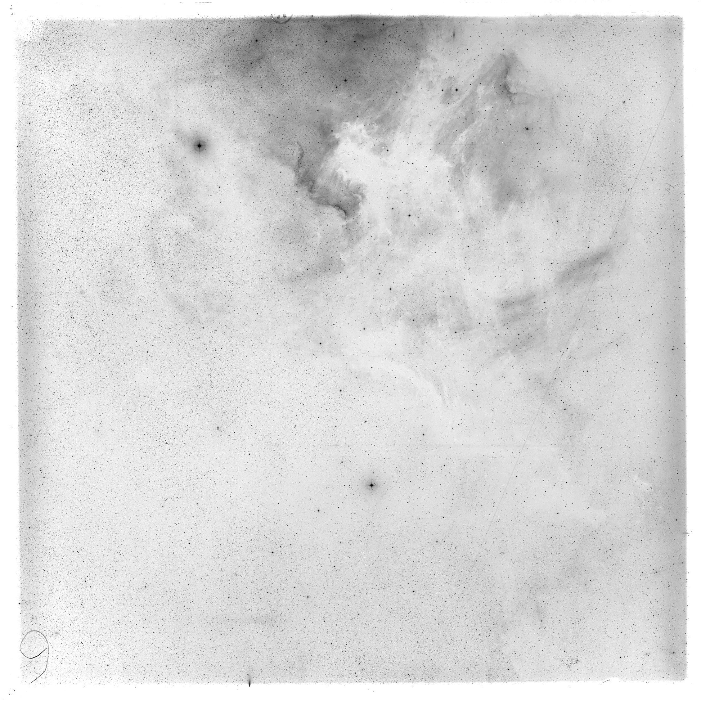Scan GS02977