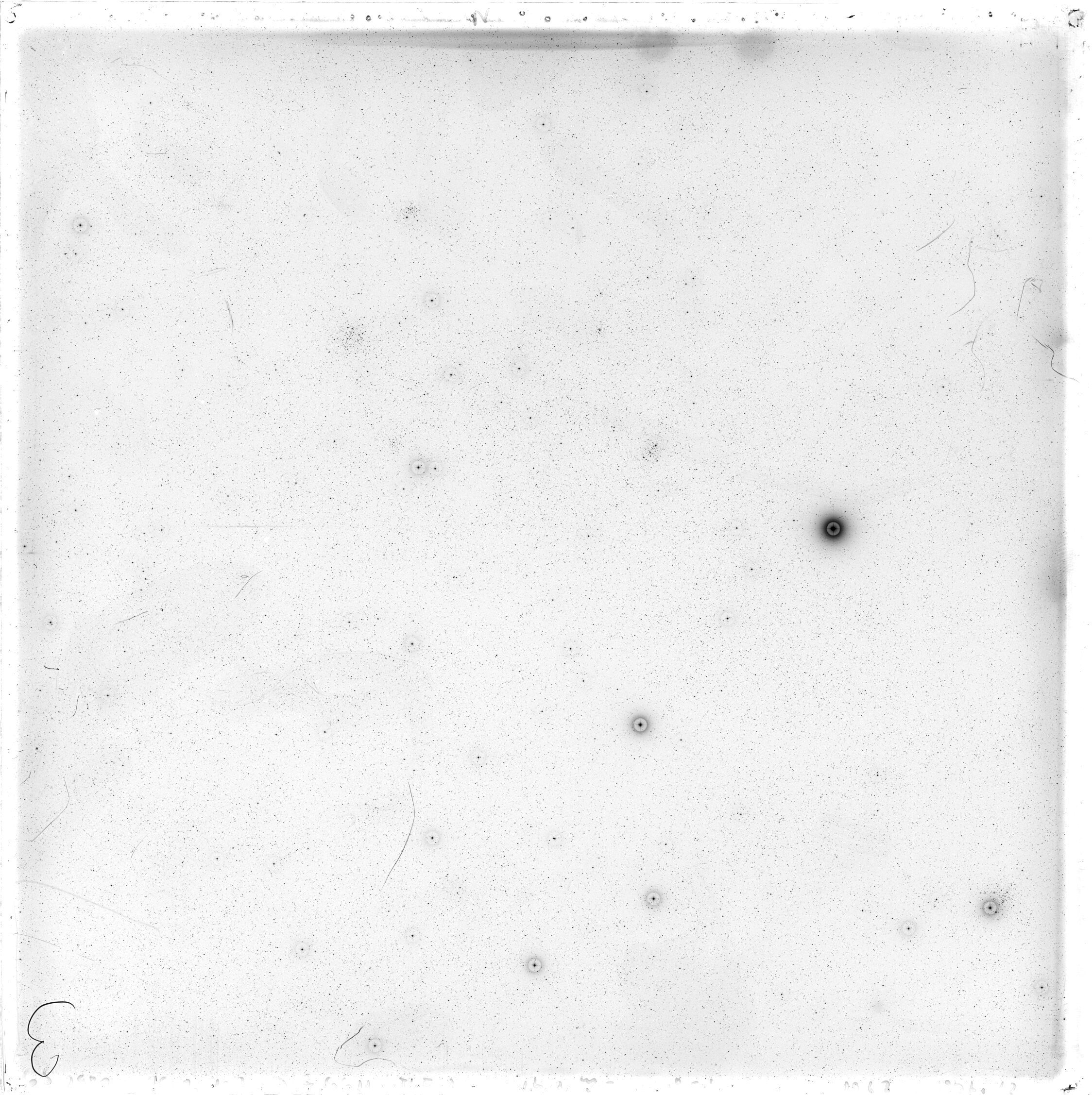Scan GS02980
