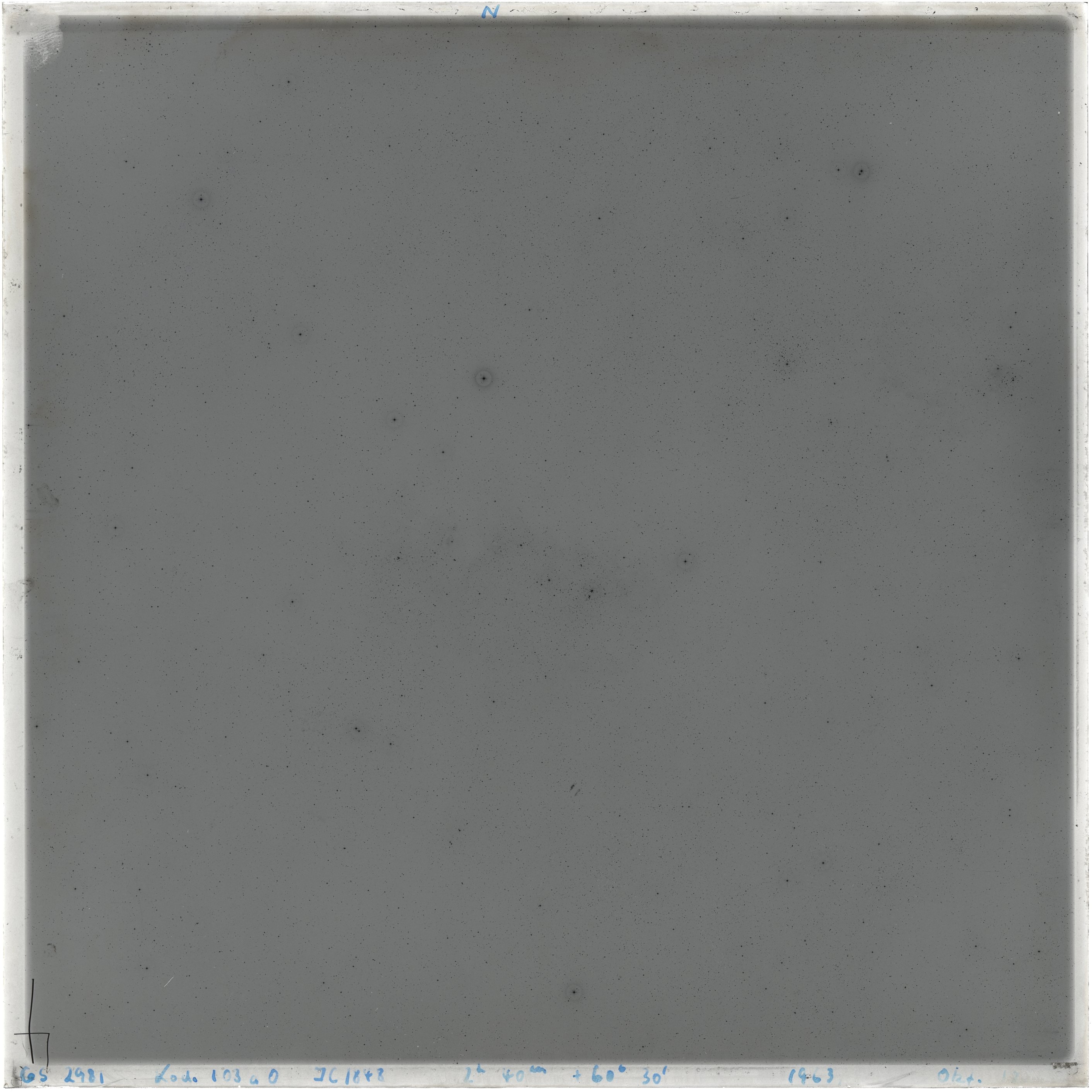 Scan GS02981