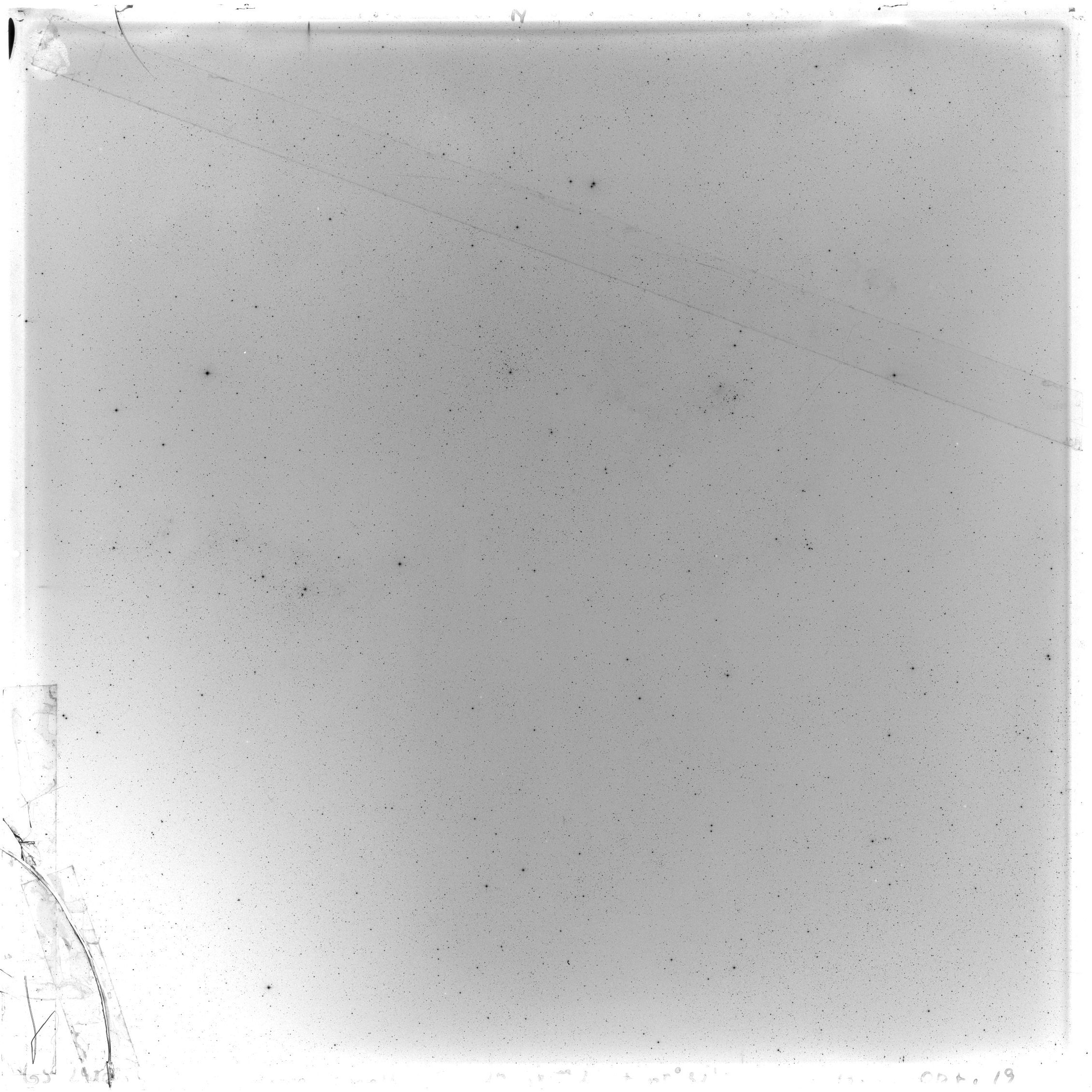 Scan GS02982