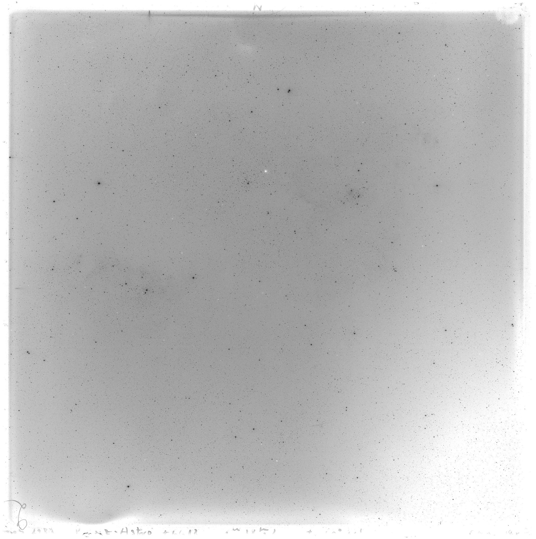 Scan GS02983