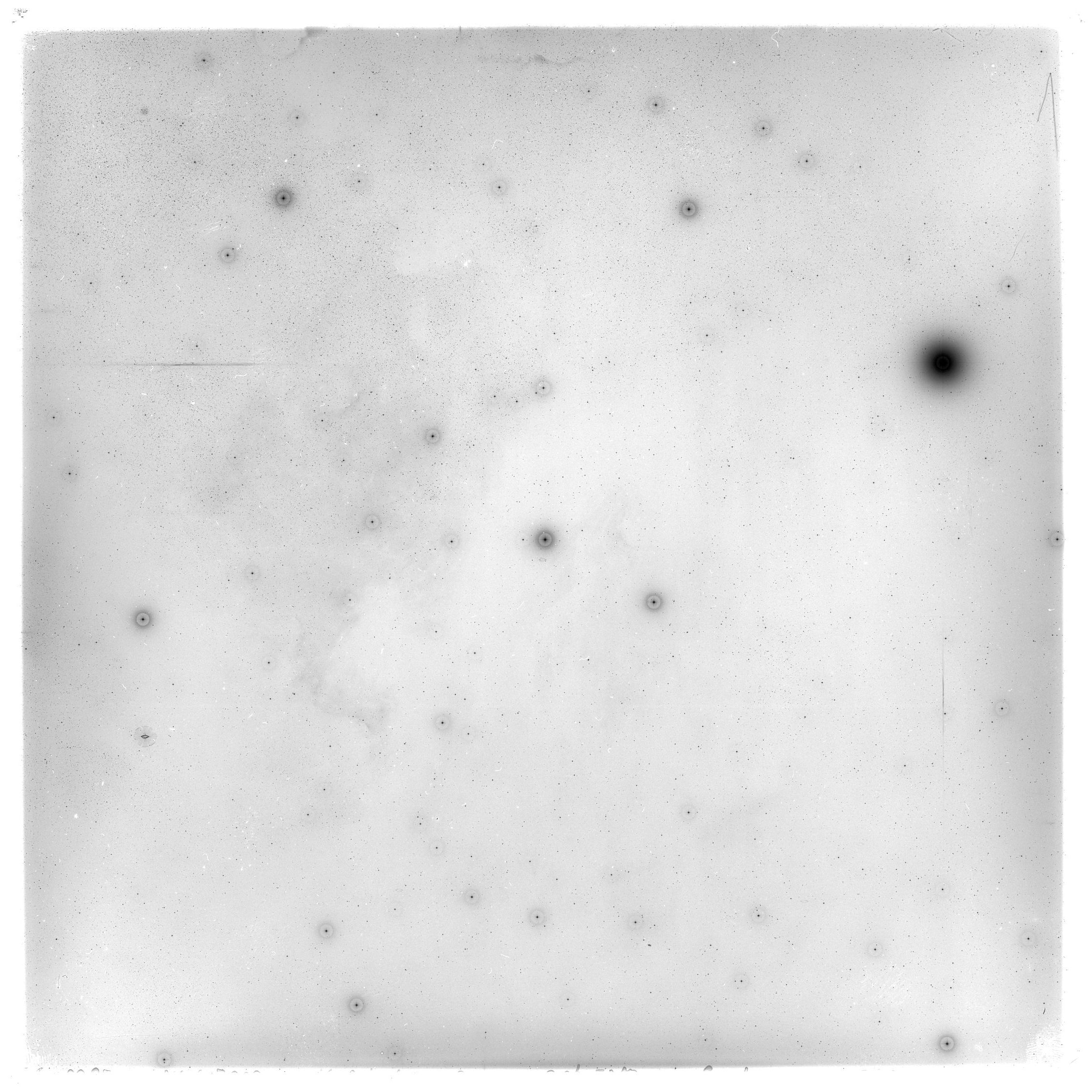 Scan GS02985