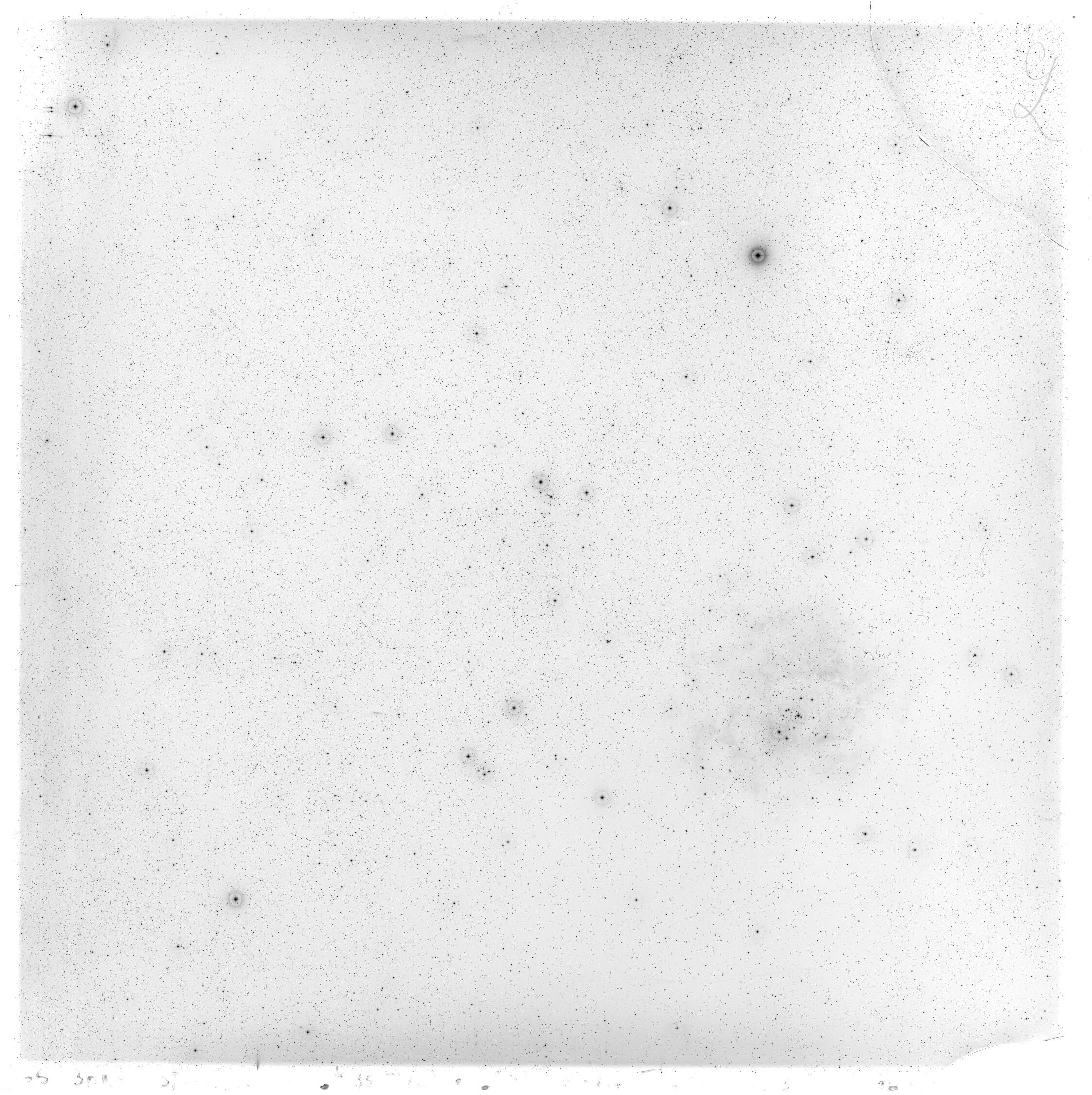 Scan GS03089