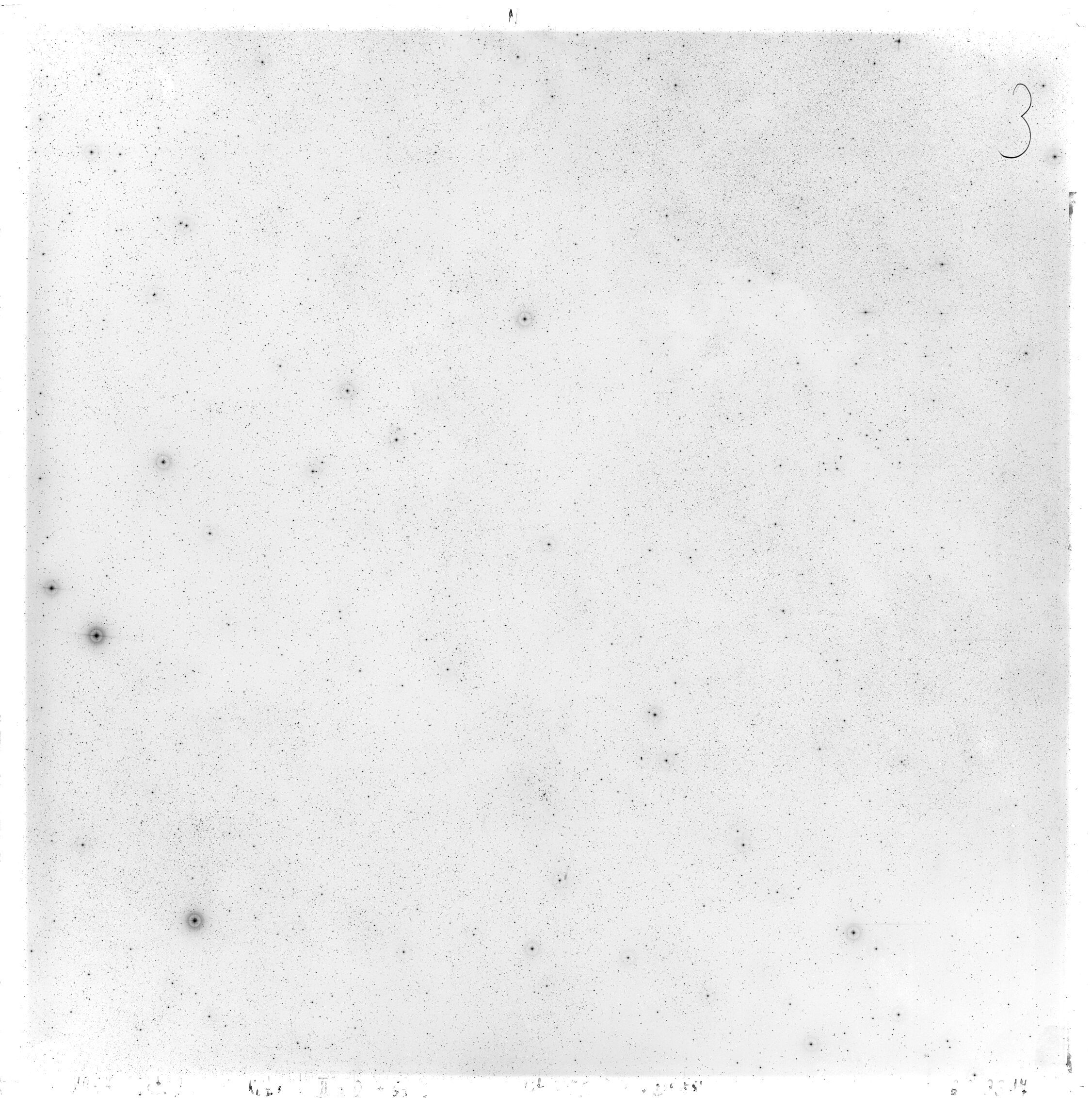 Scan GS03317
