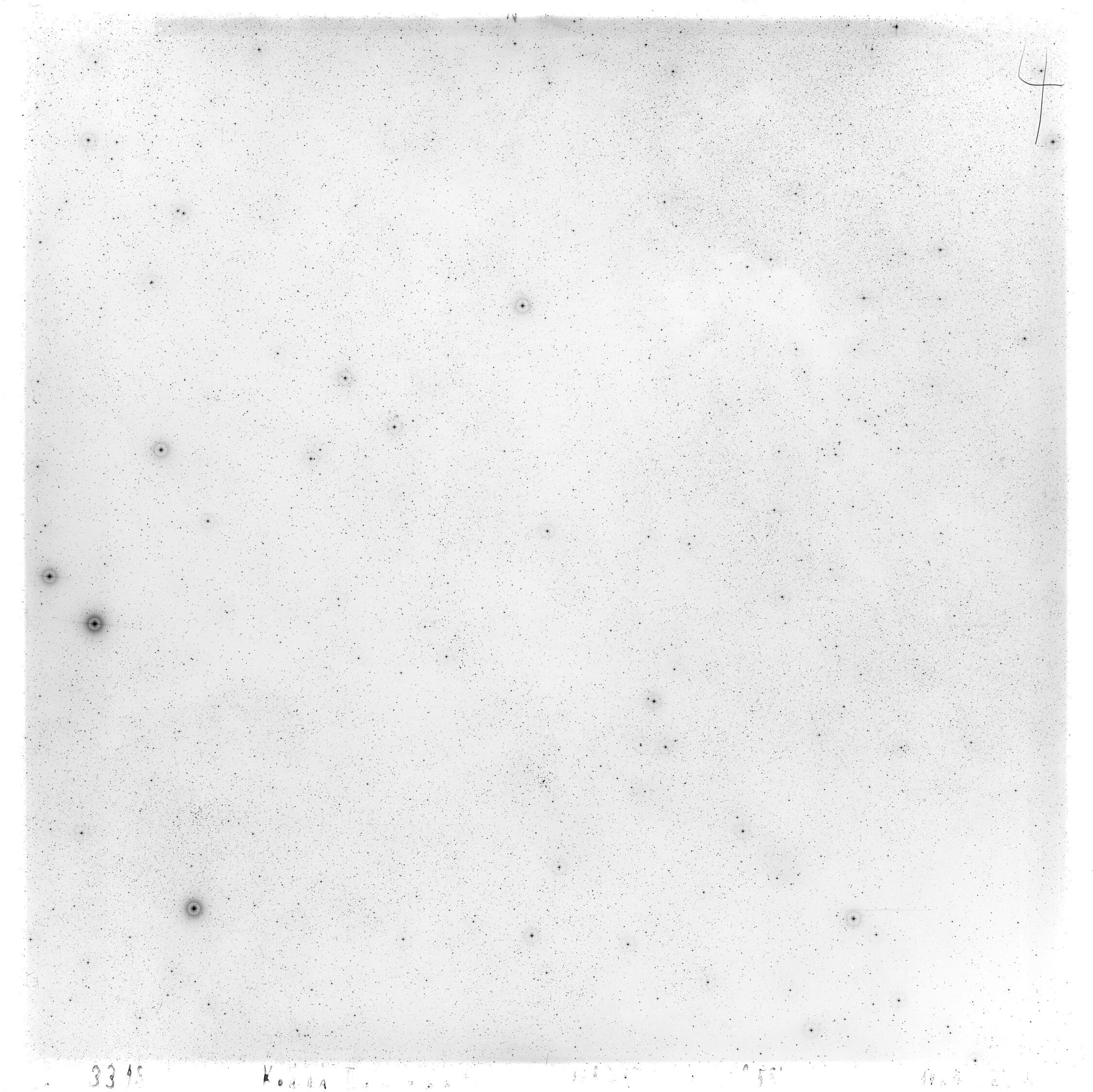 Scan GS03318