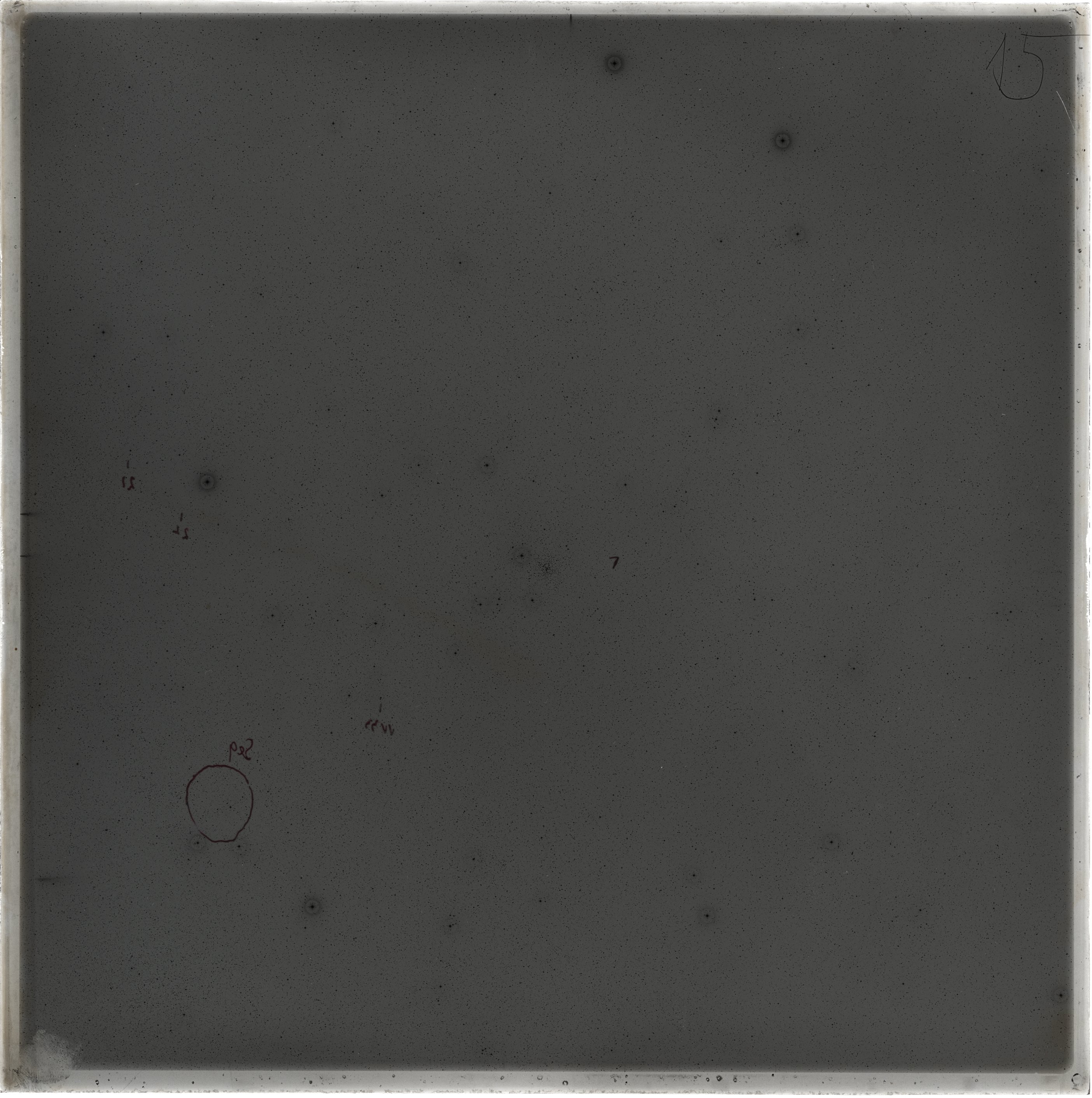Scan GS03329