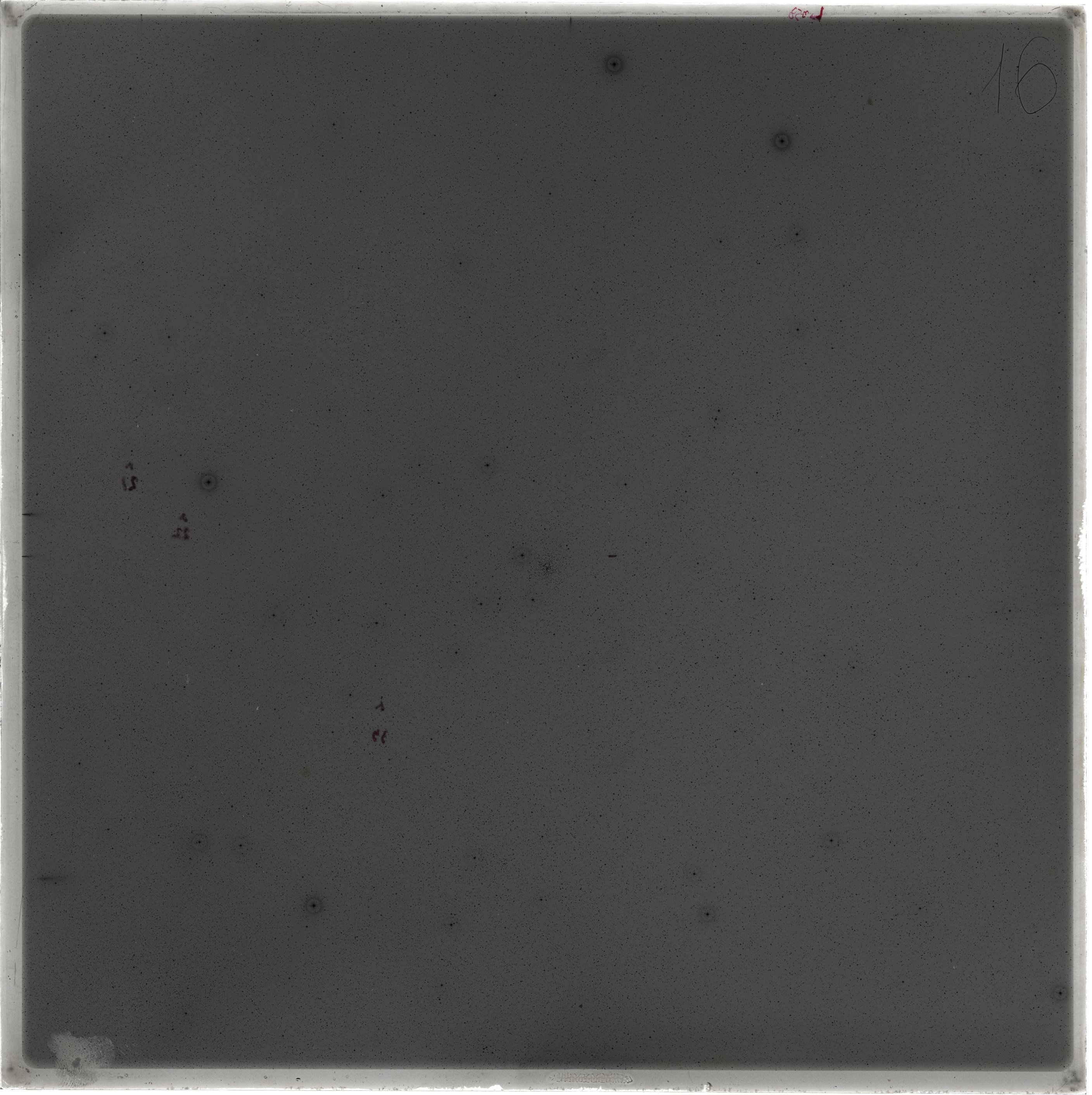 Scan GS03330