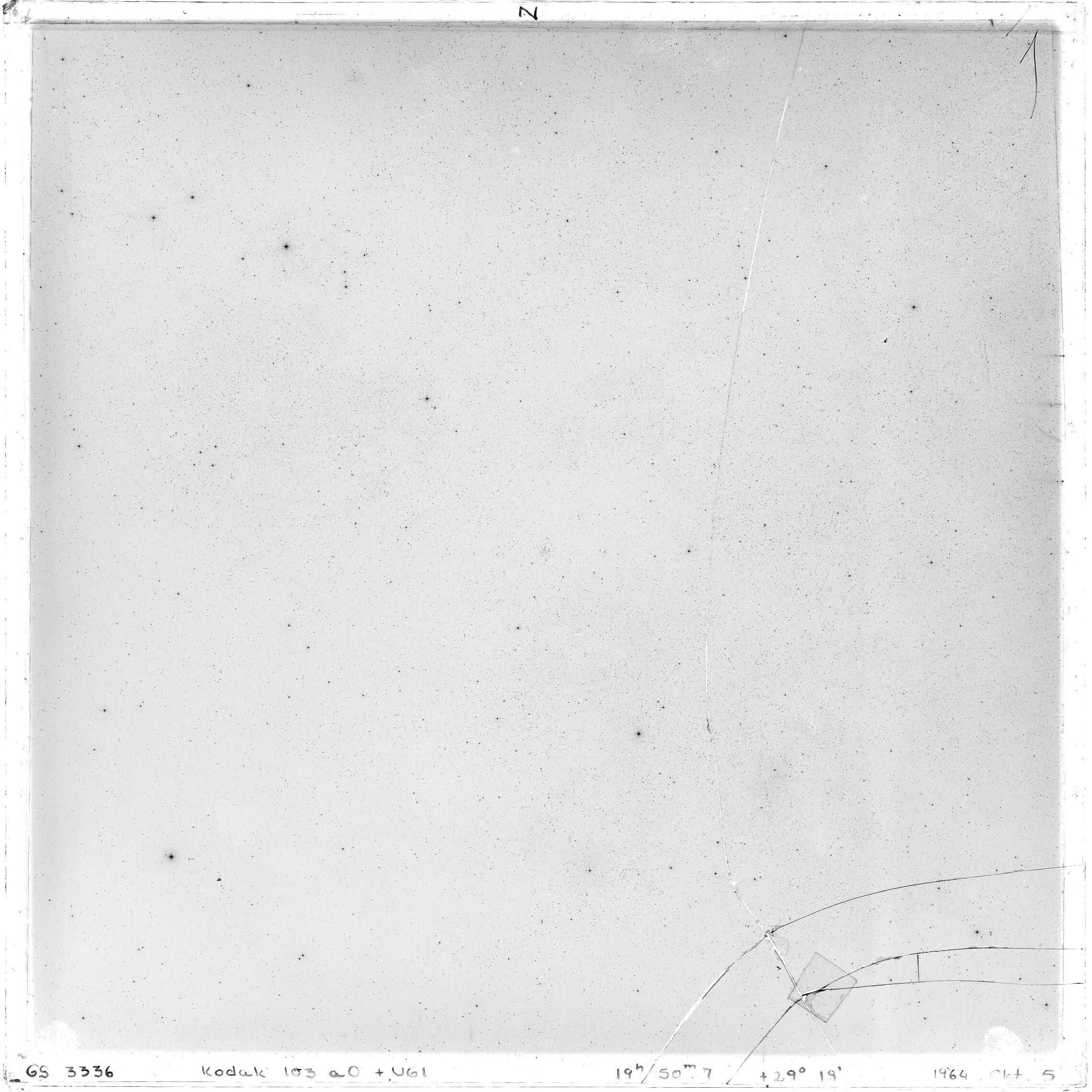 Scan GS03336
