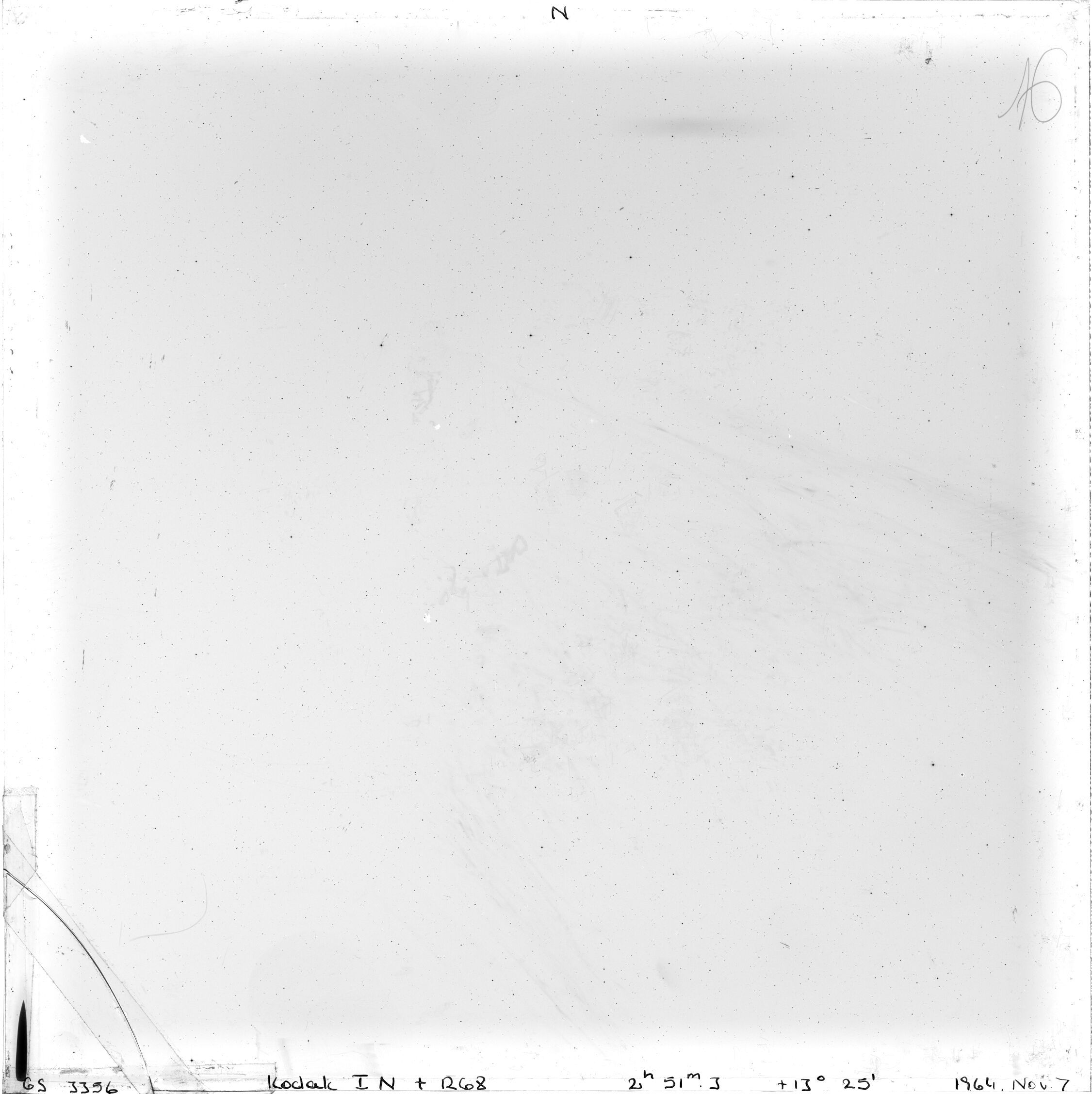 Scan GS03356