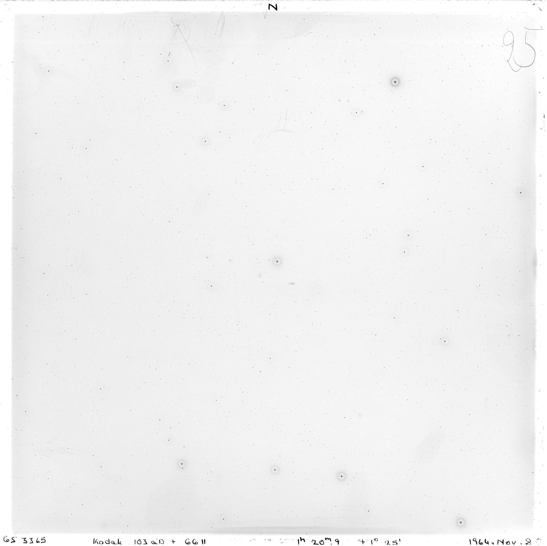 Scan GS03365