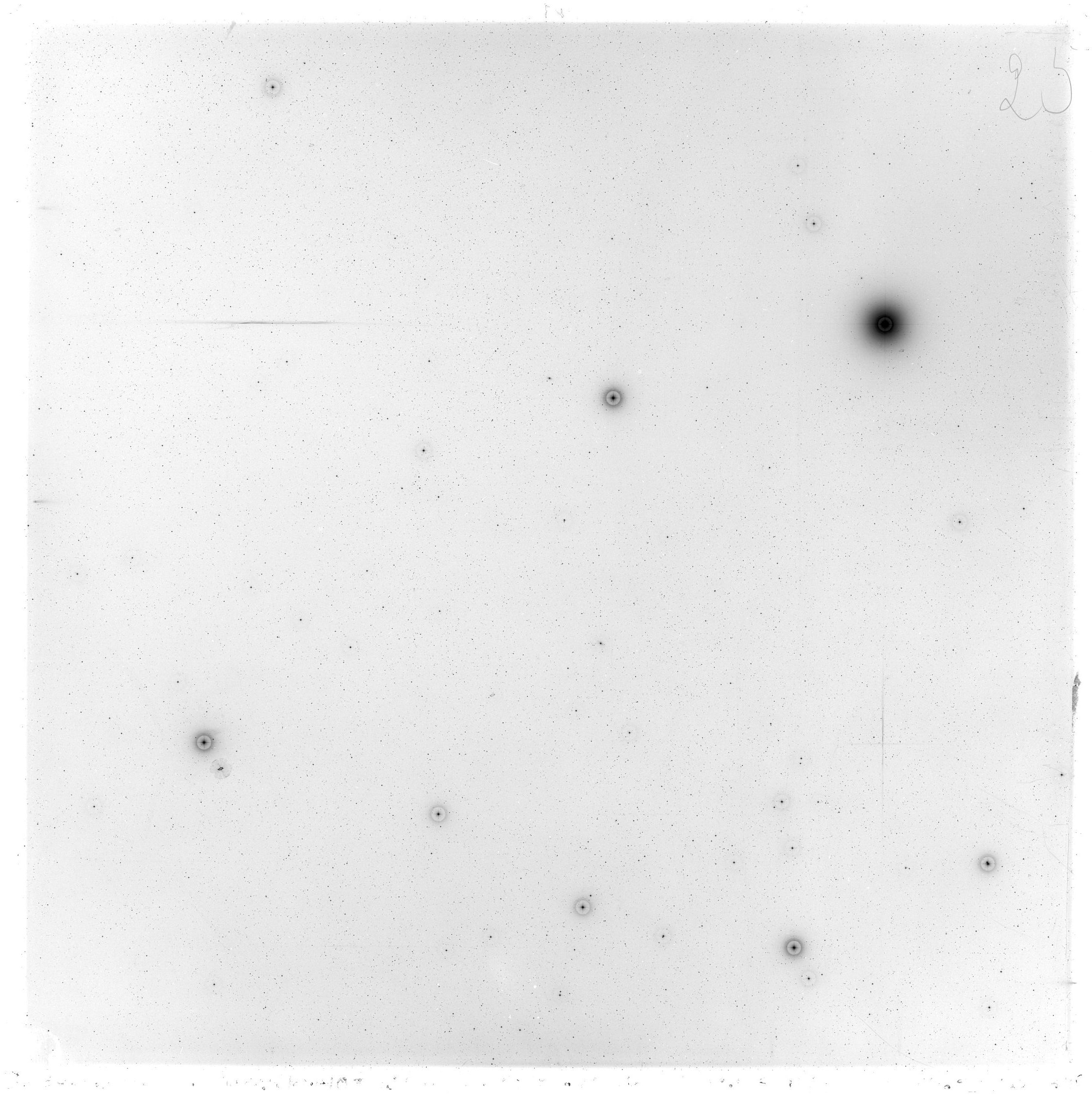 Scan GS03419