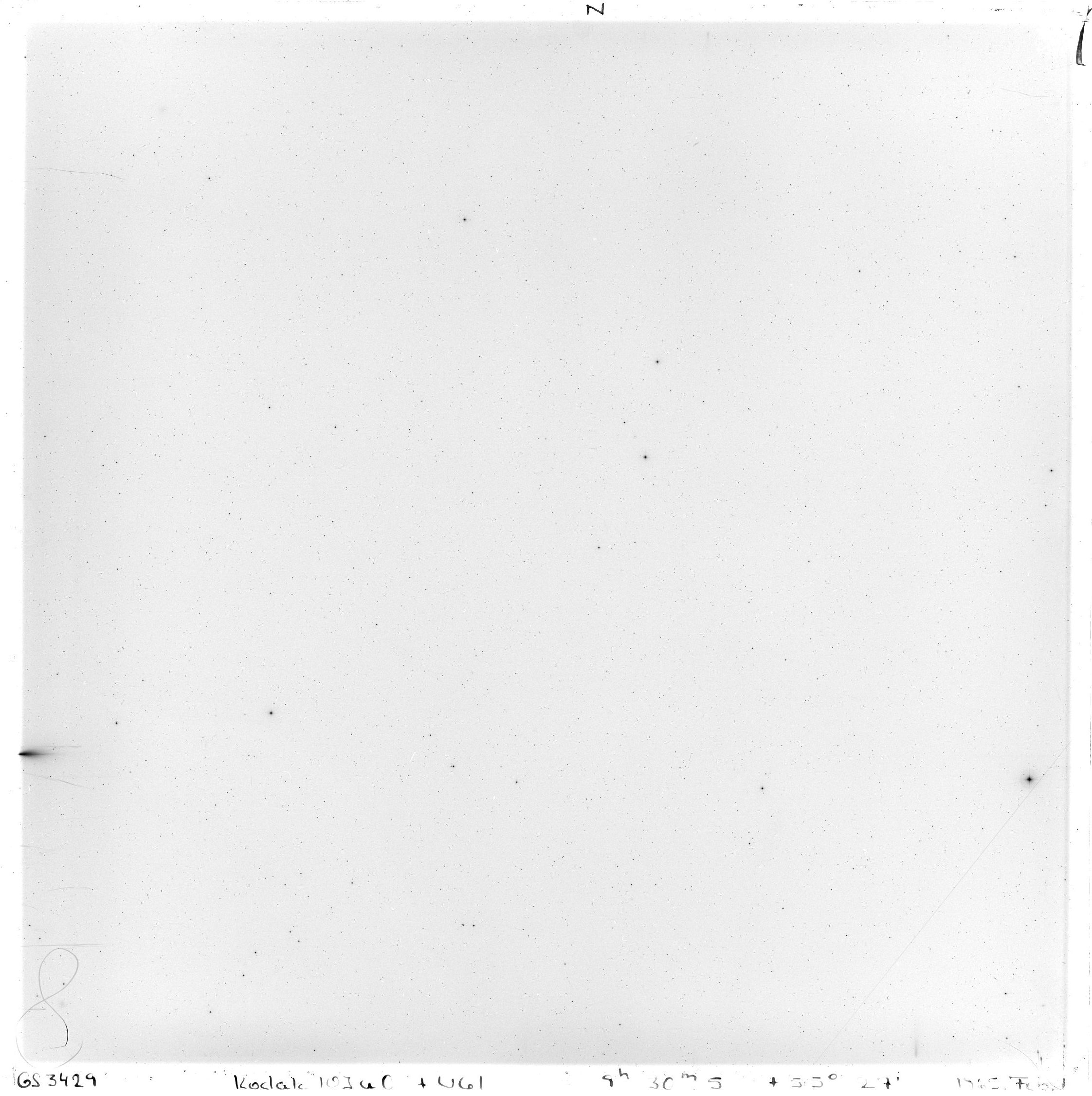 Scan GS03429