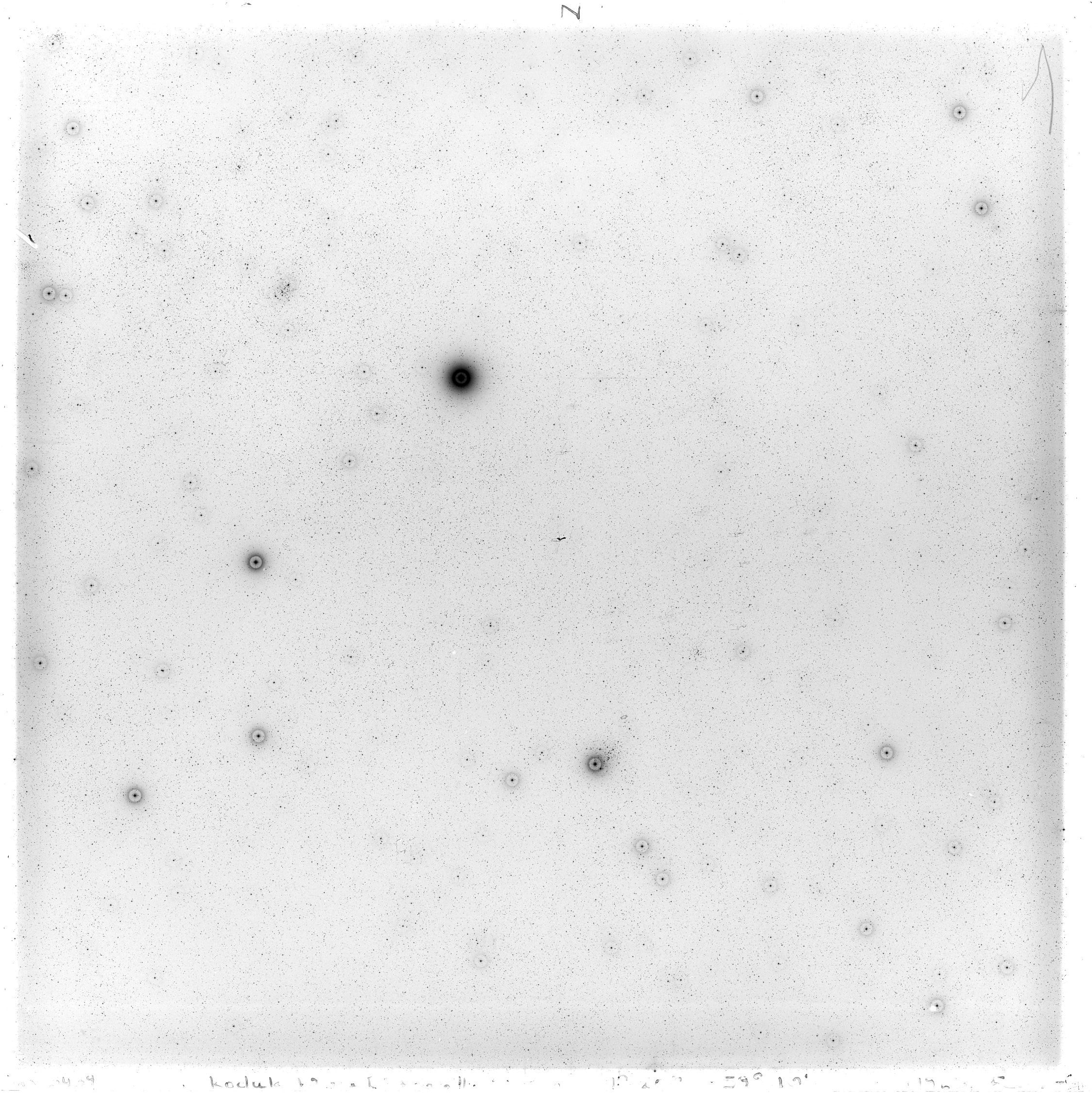 Scan GS03439