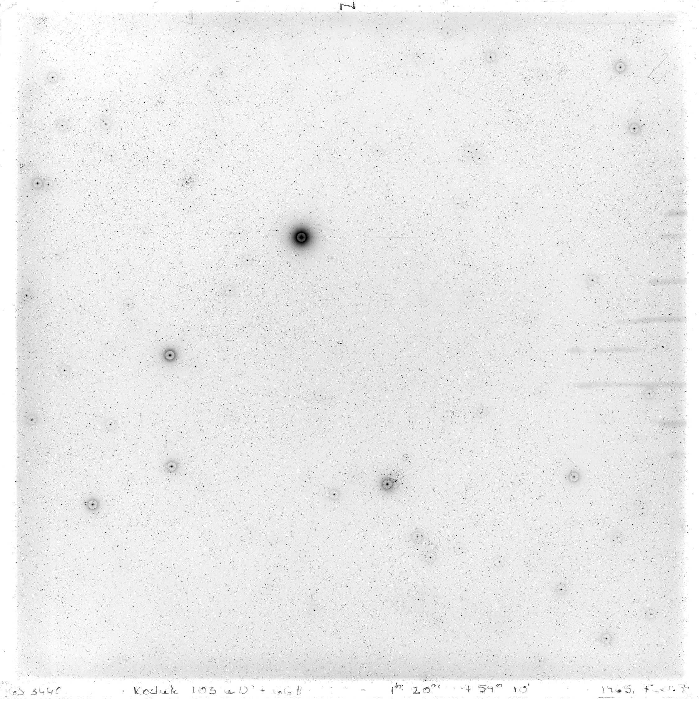 Scan GS03440
