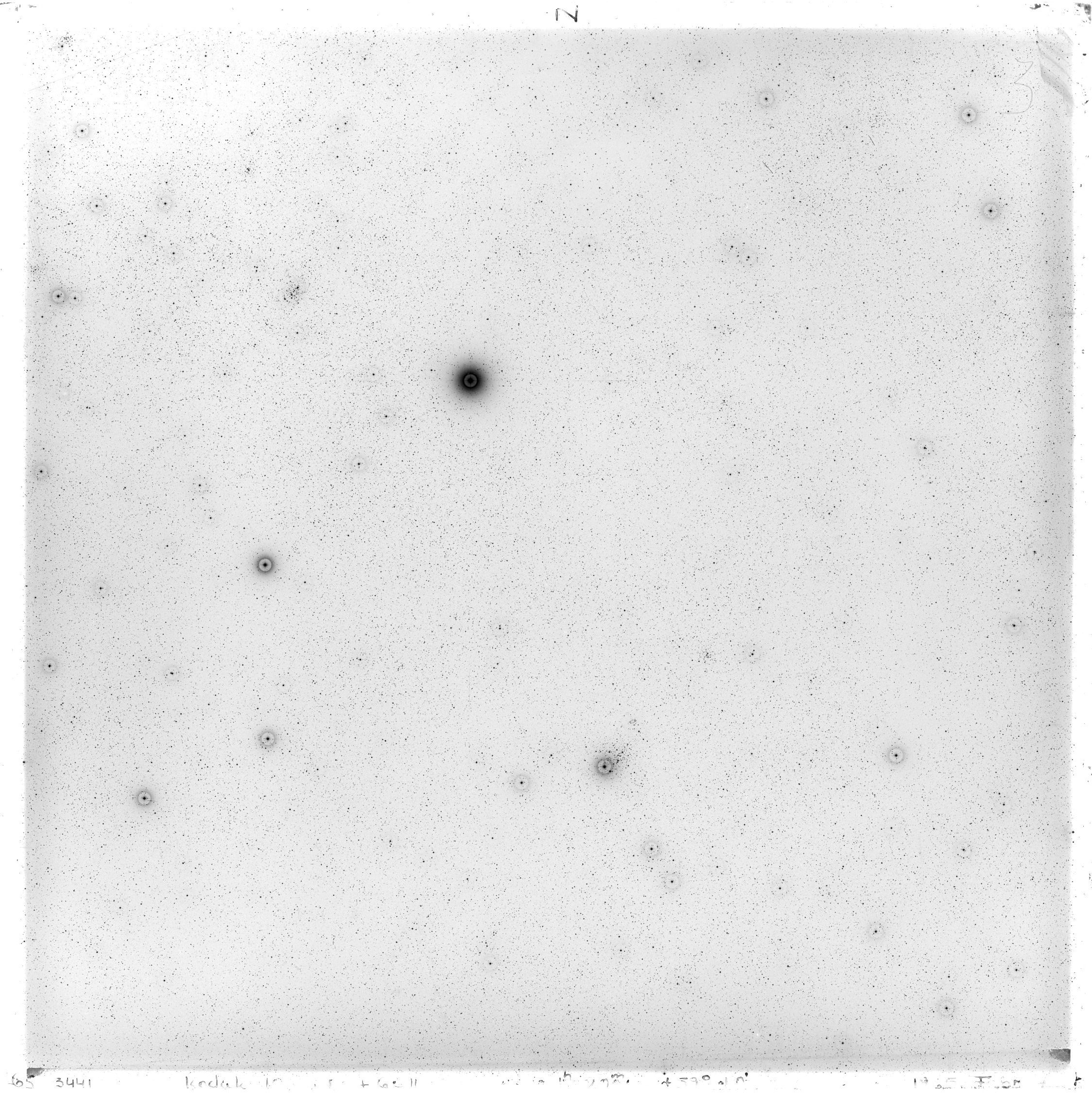 Scan GS03441