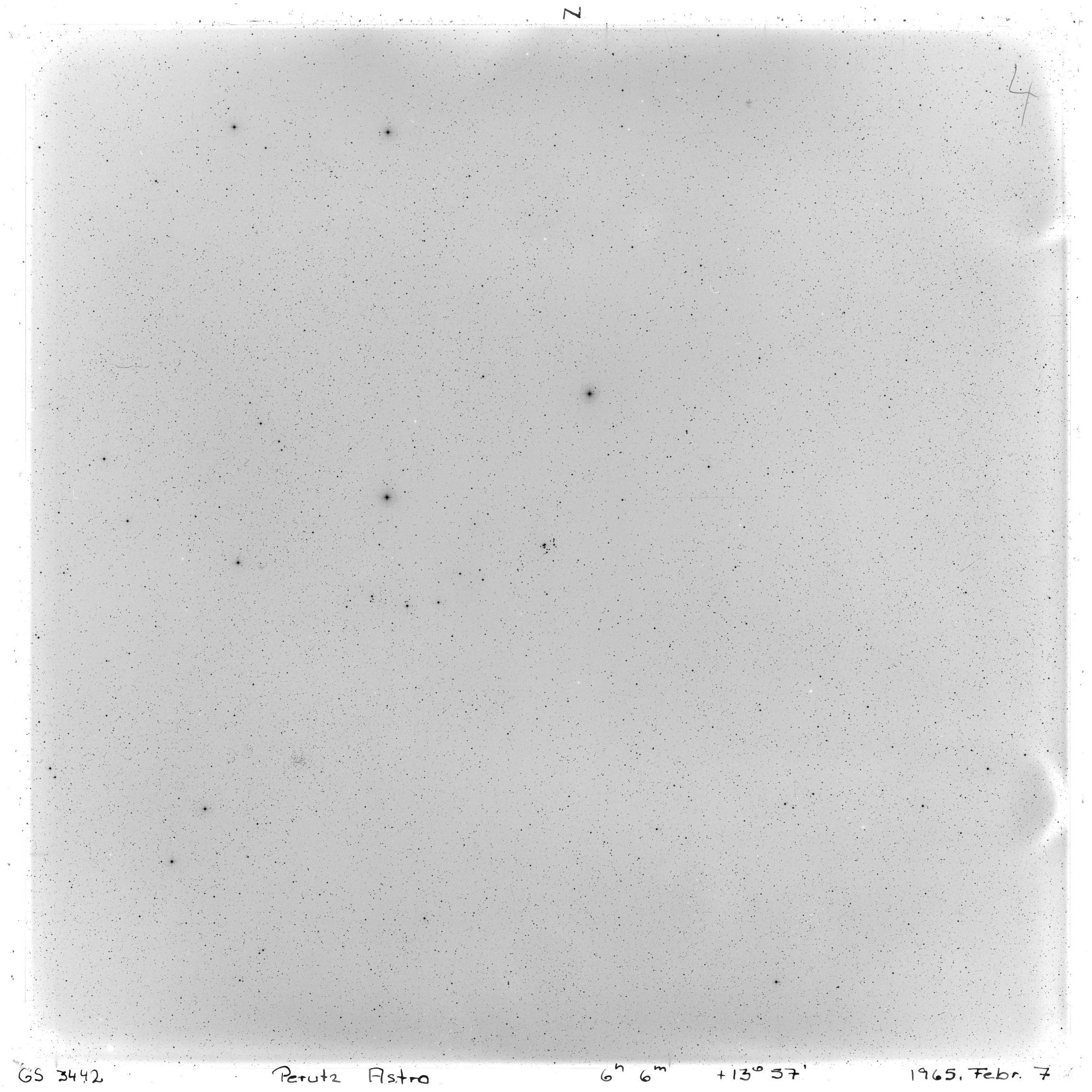 Scan GS03442