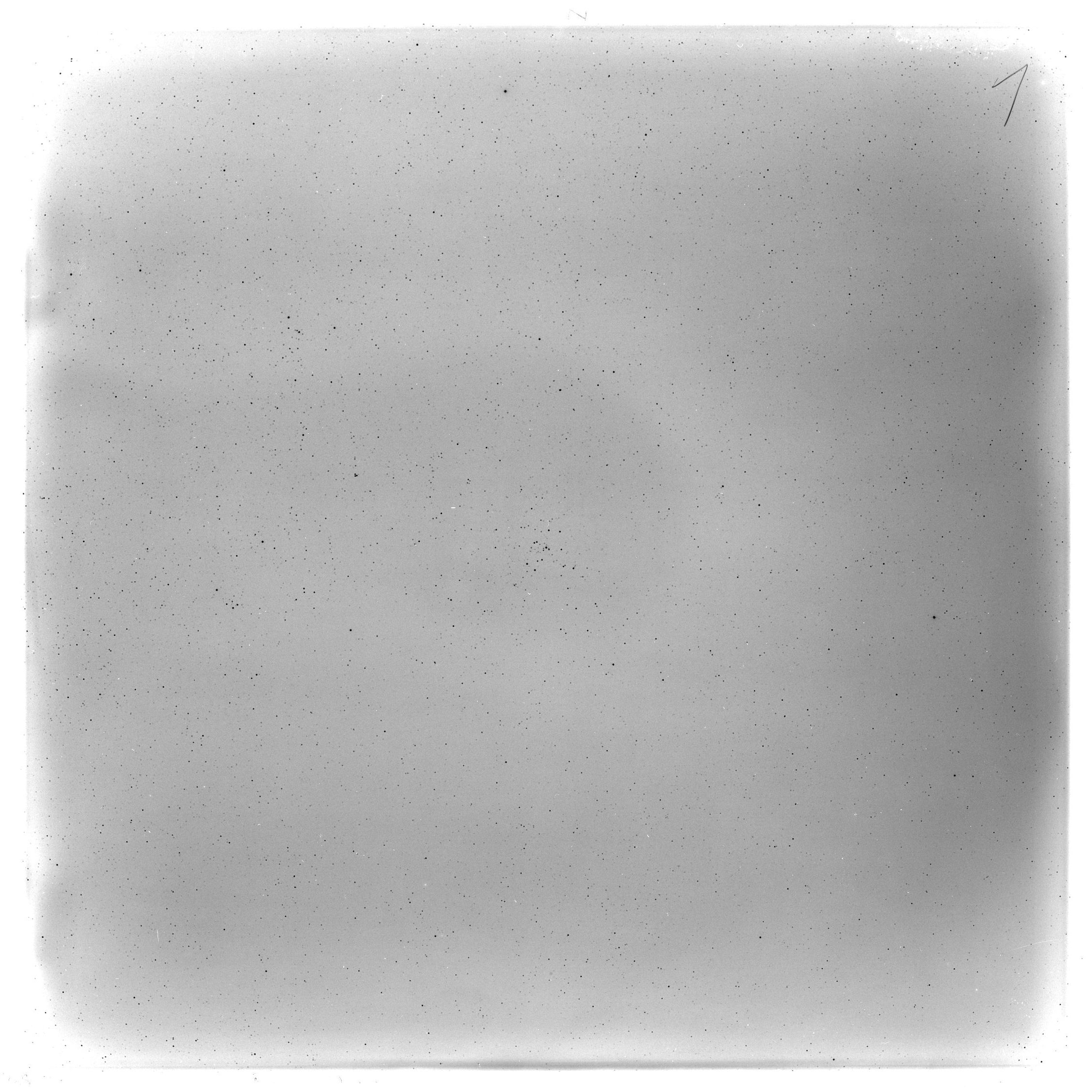 Scan GS03444