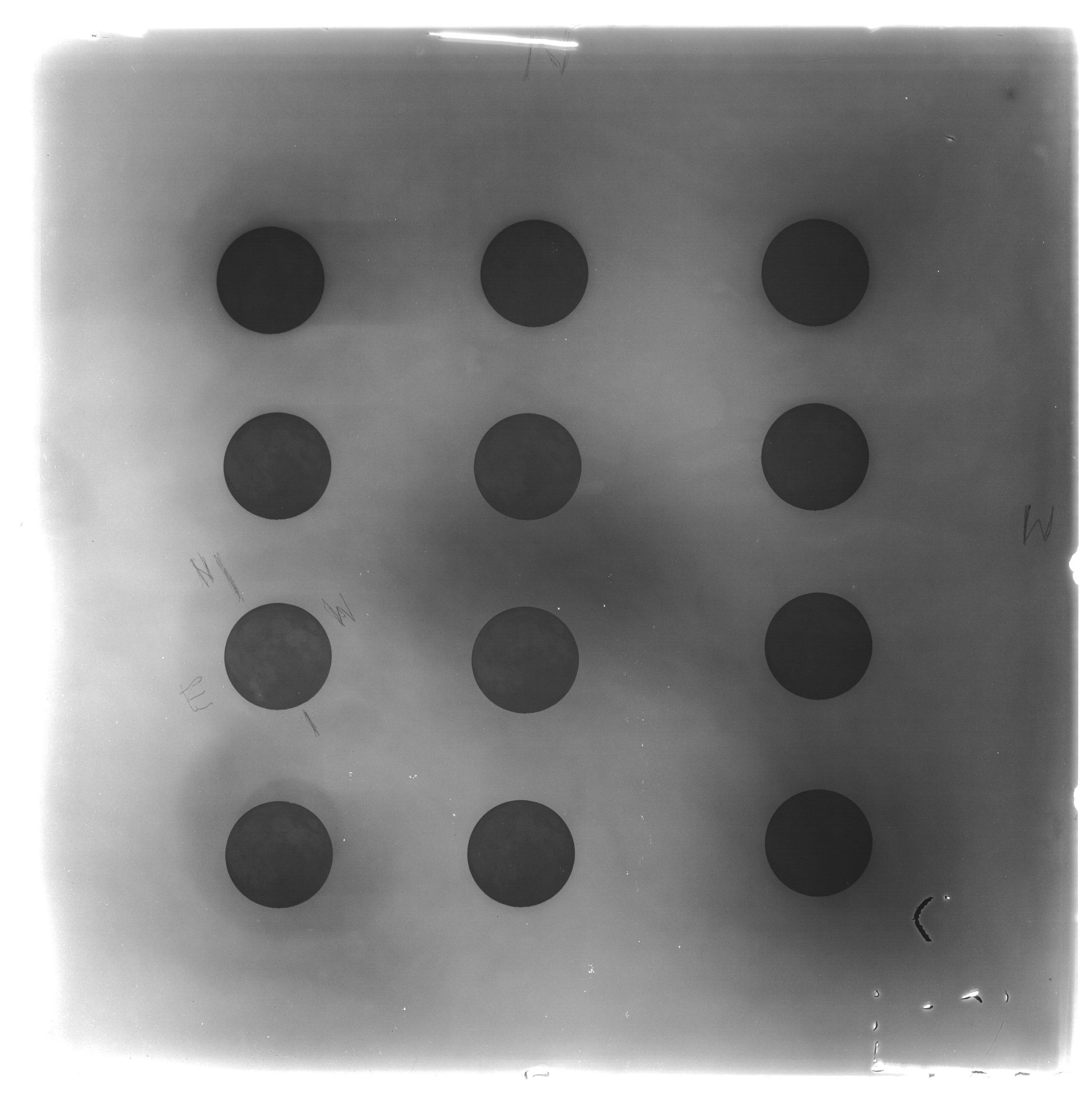 Scan GS03446