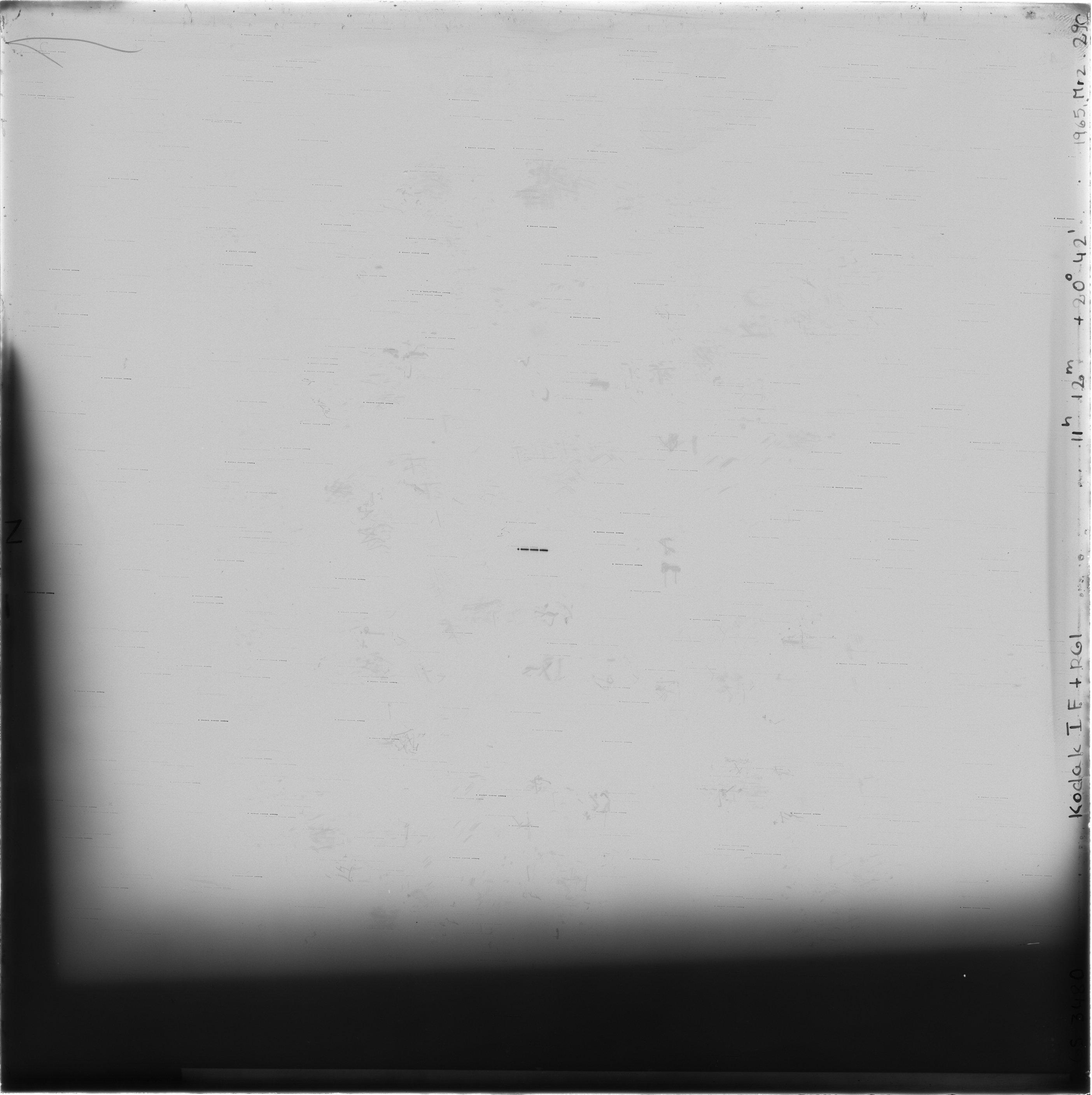 Scan GS03480