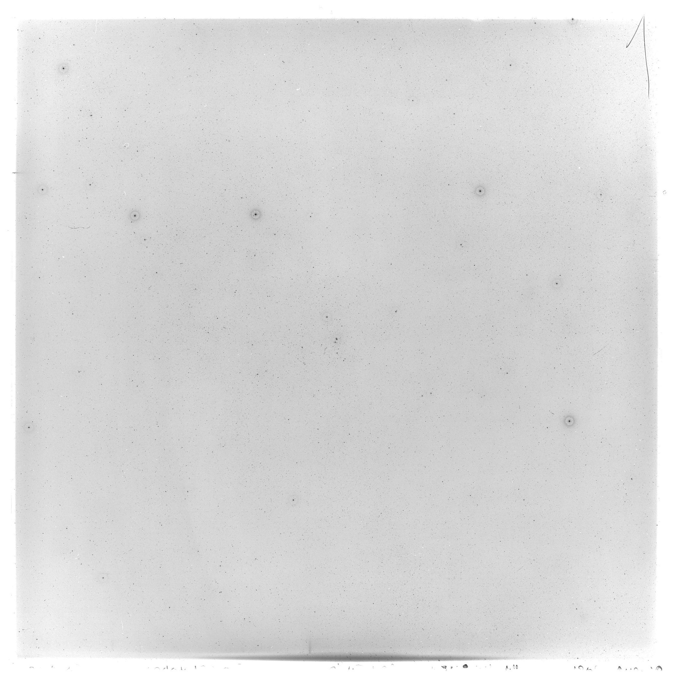Scan GS03529