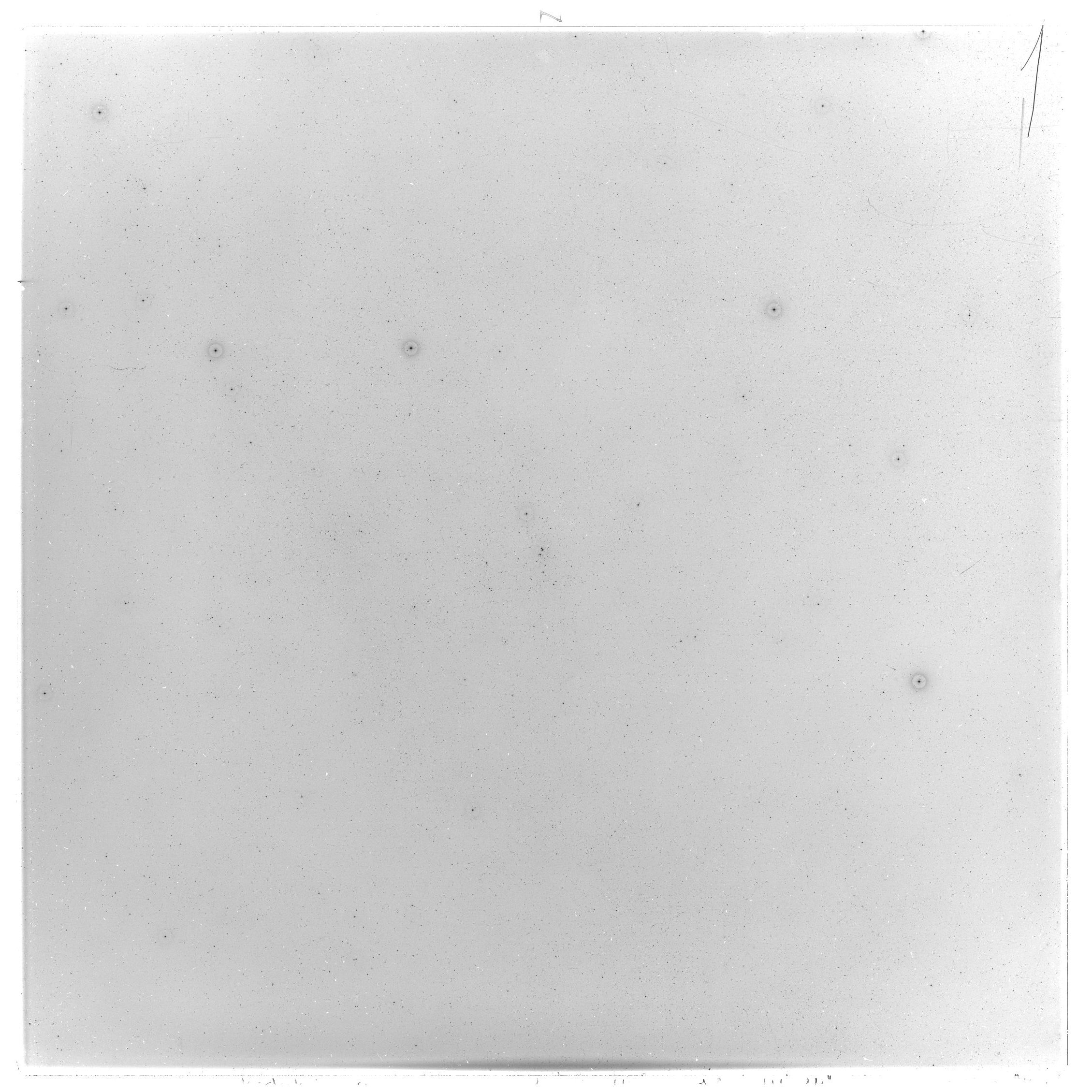 Scan GS03530