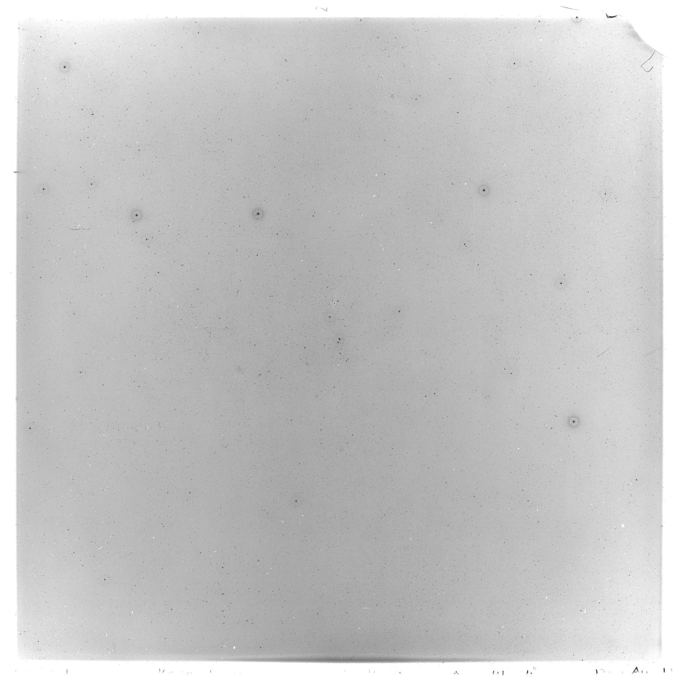 Scan GS03531
