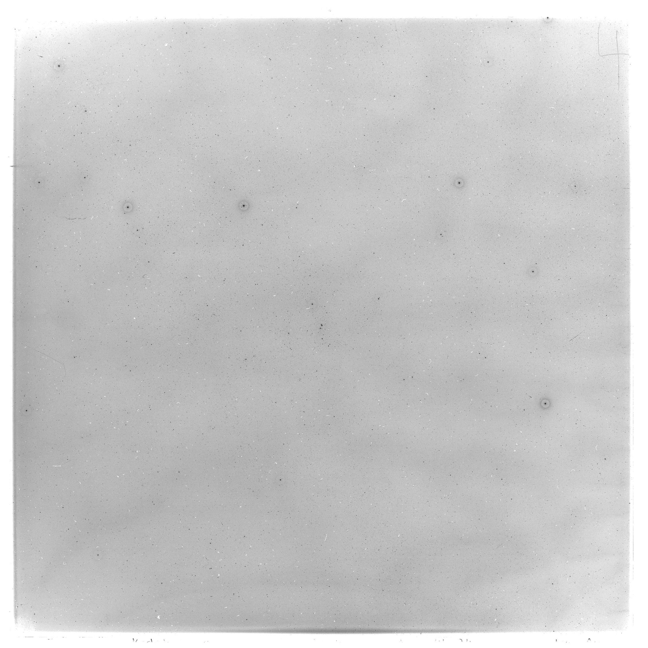 Scan GS03533