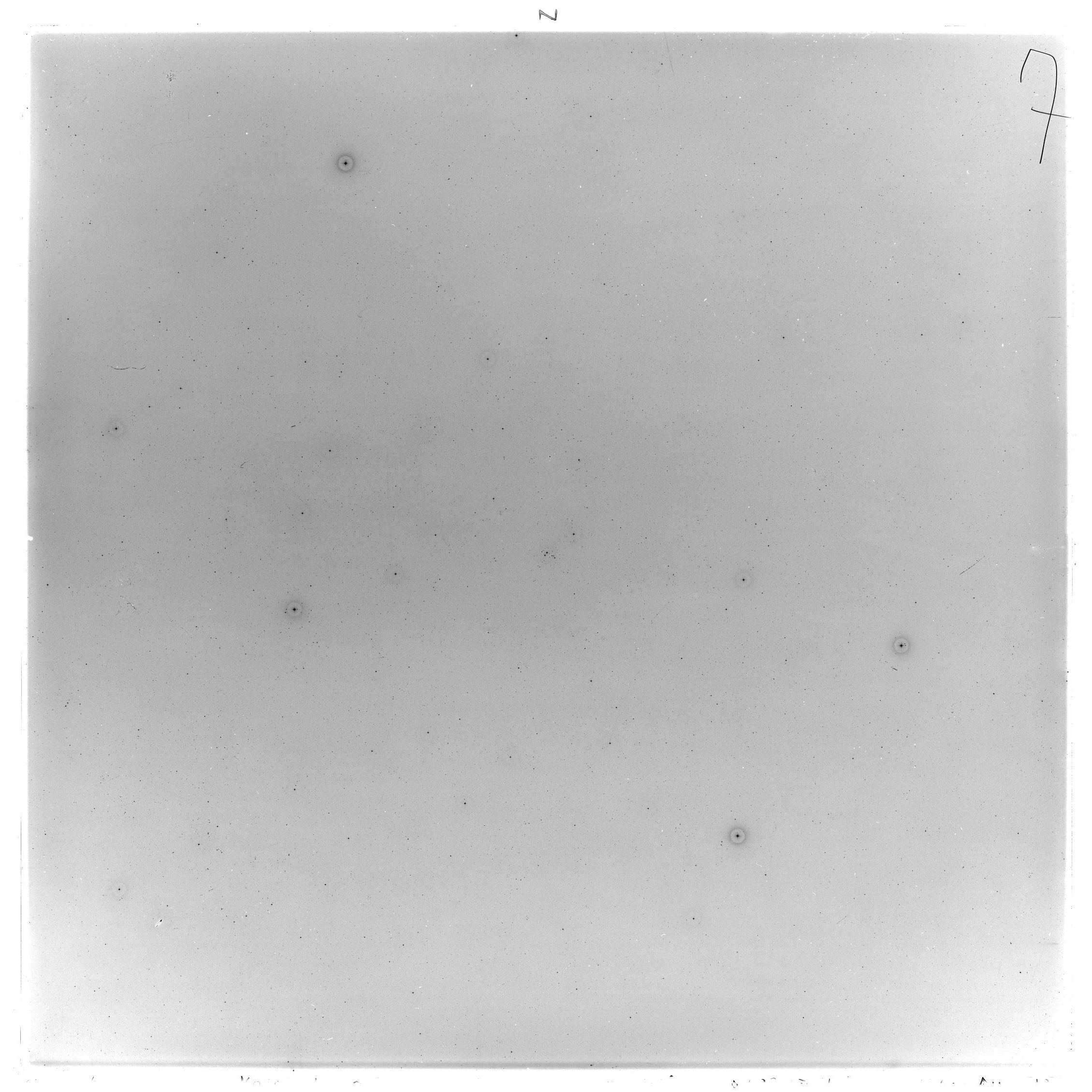 Scan GS03536