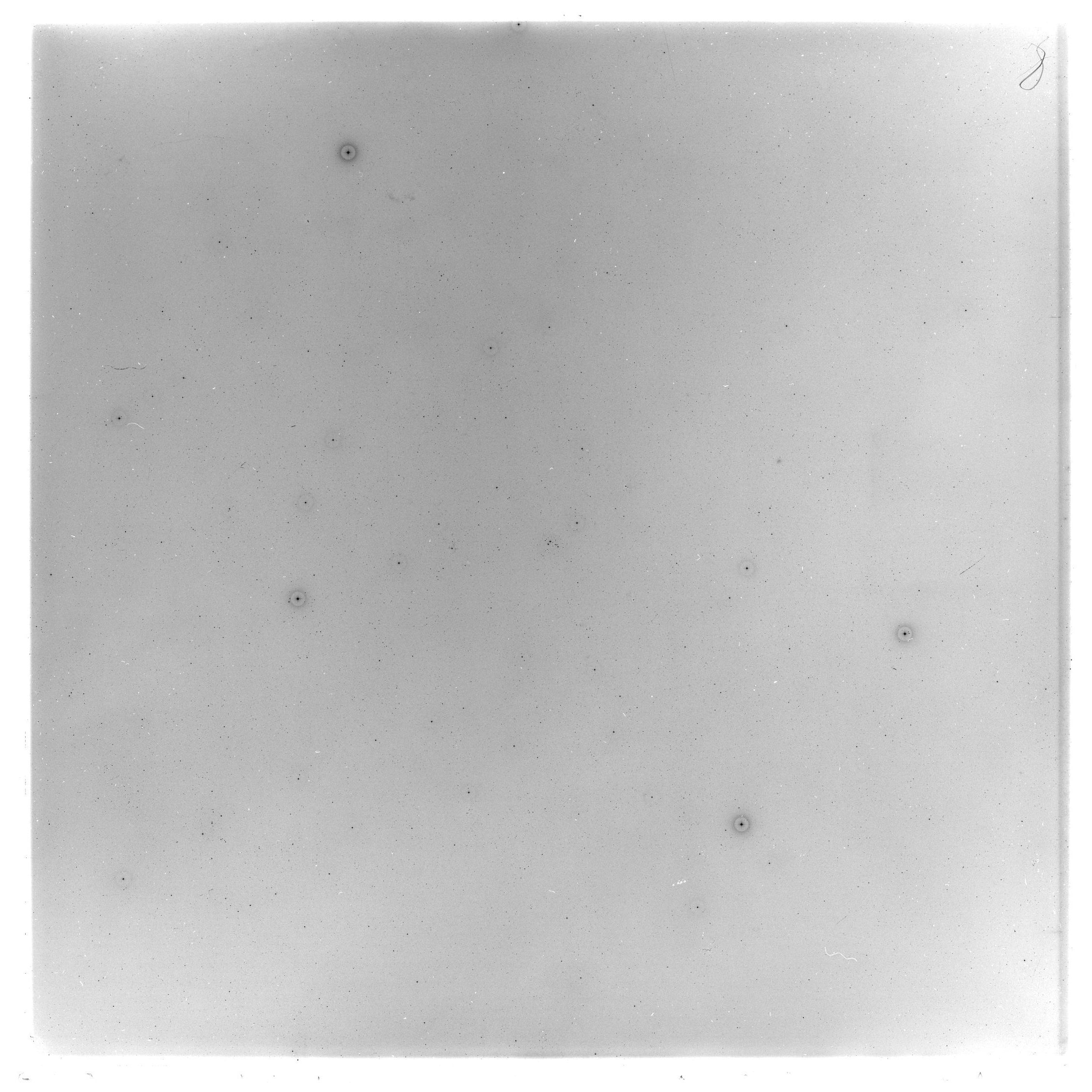 Scan GS03537