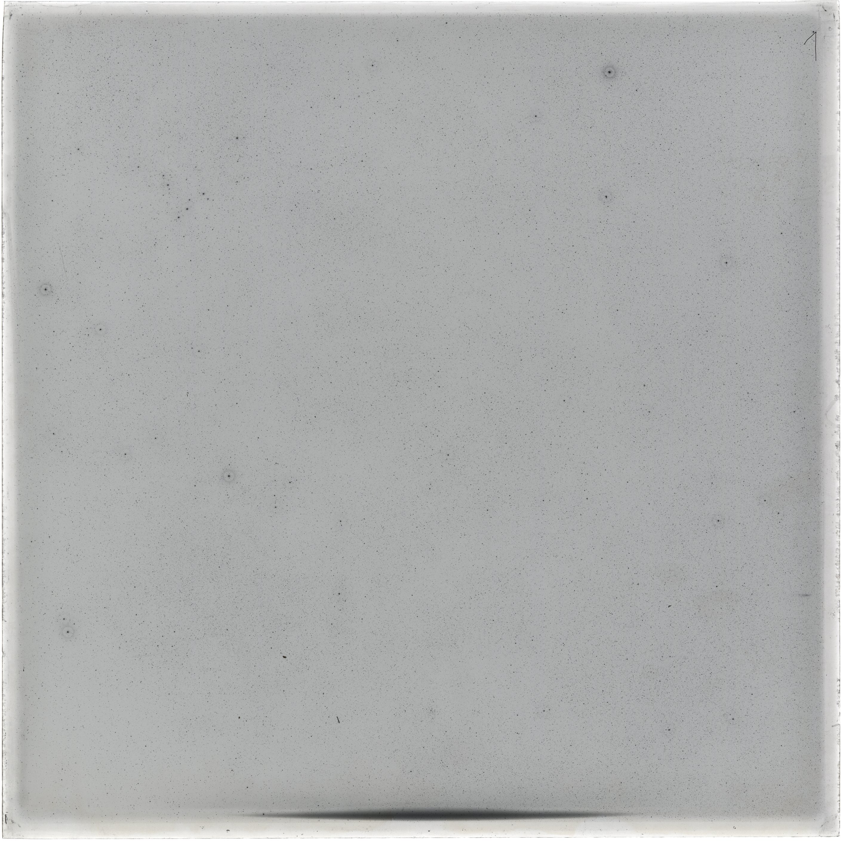 Scan GS03541