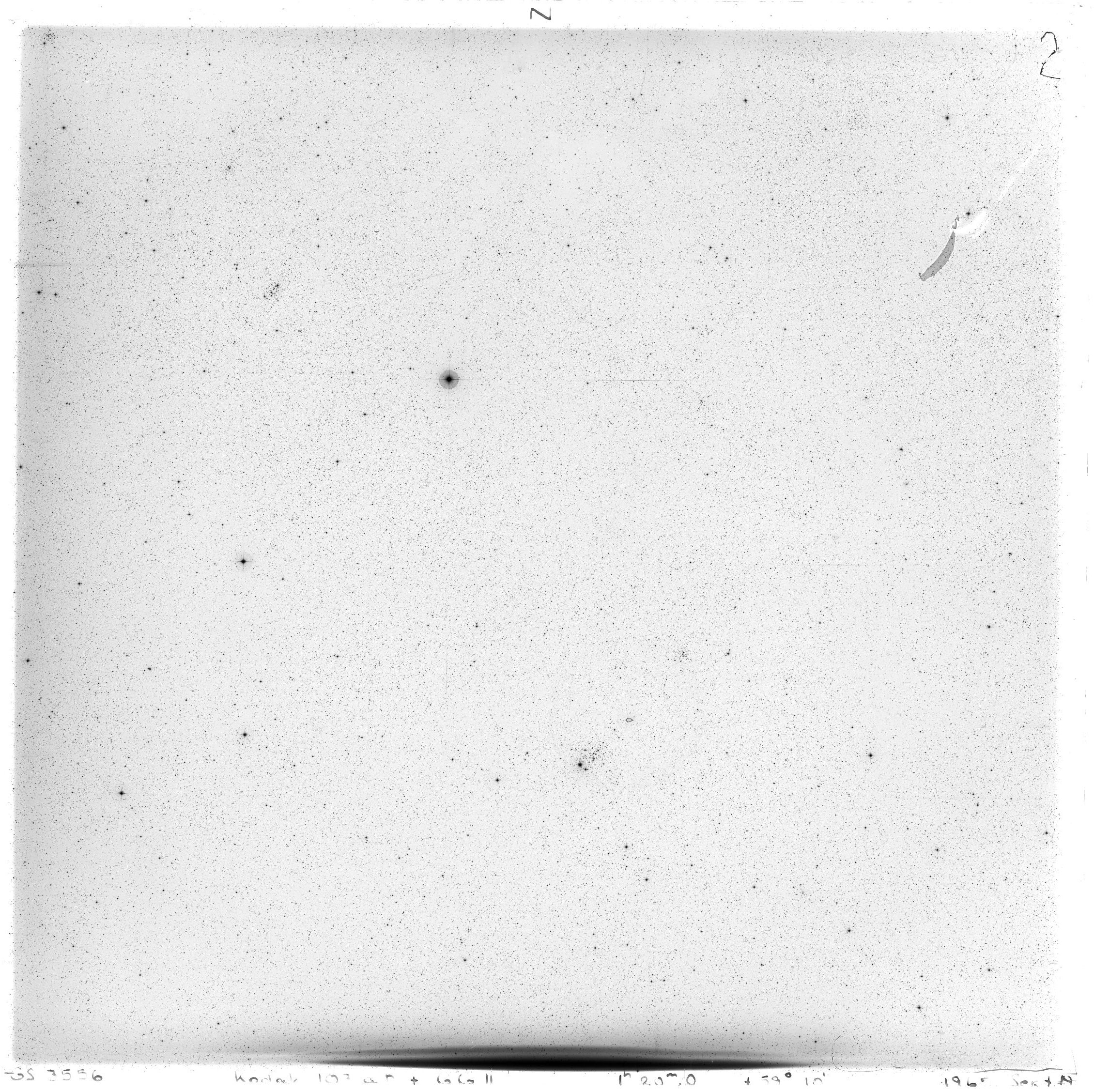 Scan GS03556